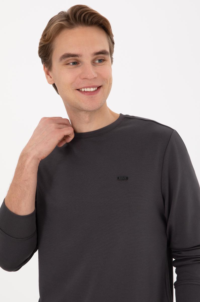 Erkek Regular Fit Bisiklet Yaka Gri Sweatshirt
