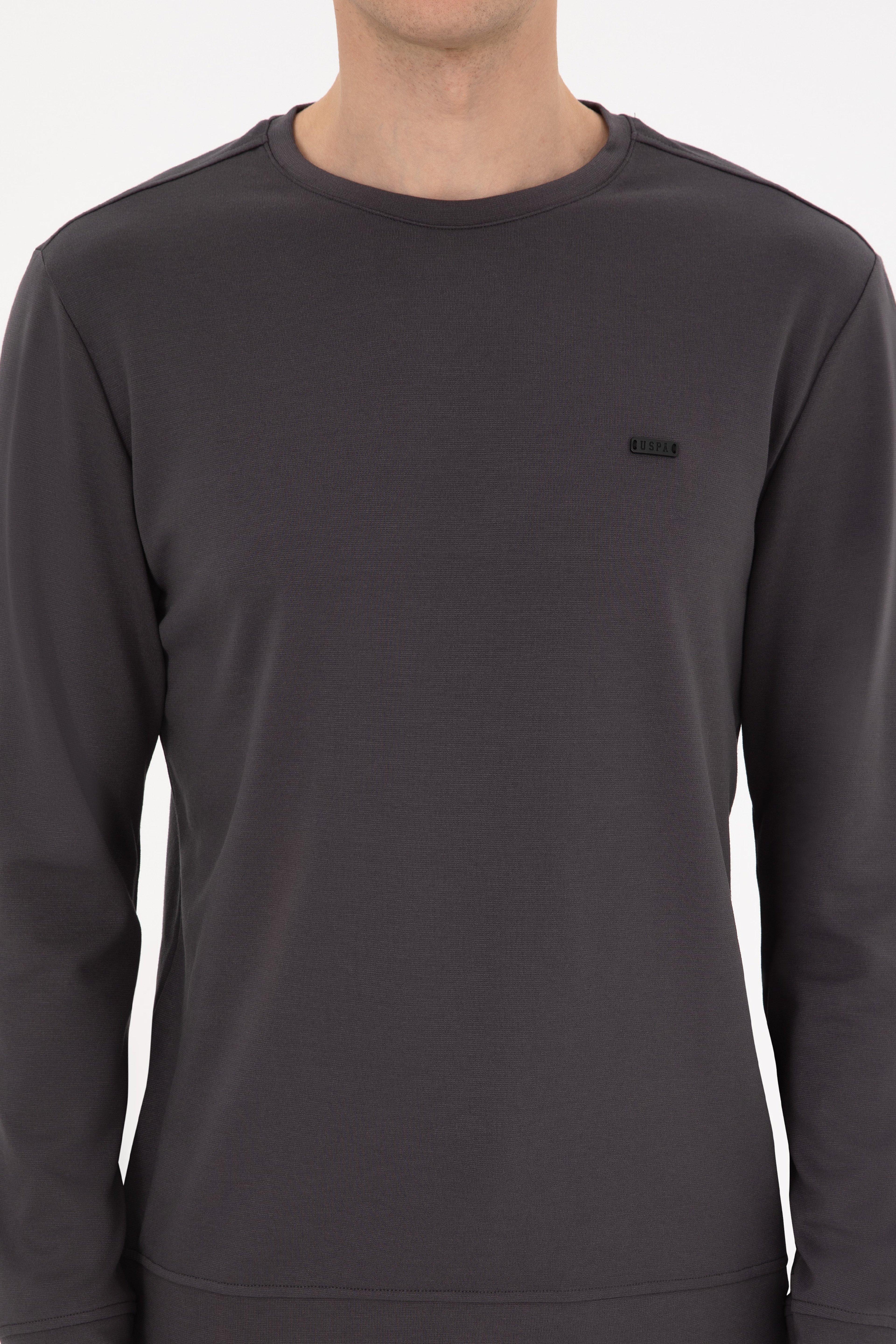 Erkek Regular Fit Bisiklet Yaka Gri Sweatshirt