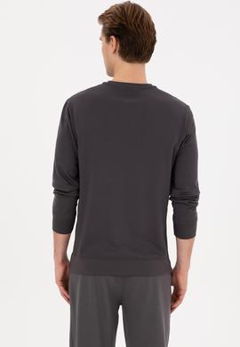 Erkek Regular Fit Bisiklet Yaka Gri Sweatshirt - 50315483056
