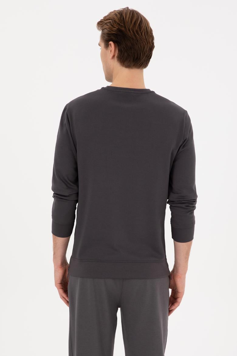 Erkek Regular Fit Bisiklet Yaka Gri Sweatshirt - 50315483056