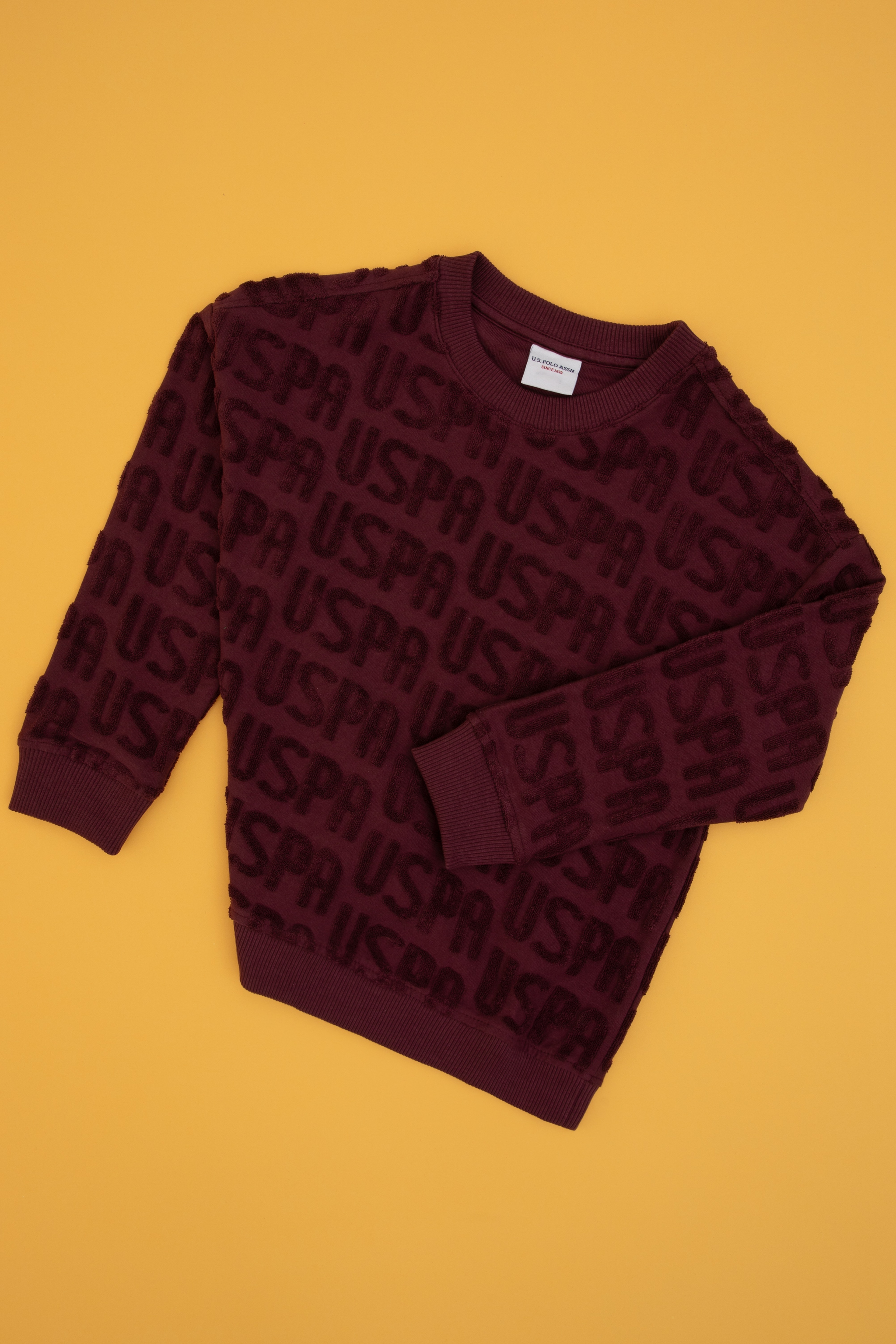 Erkek Çocuk Bordo Bisiklet Yaka Sweatshirt - Image 3