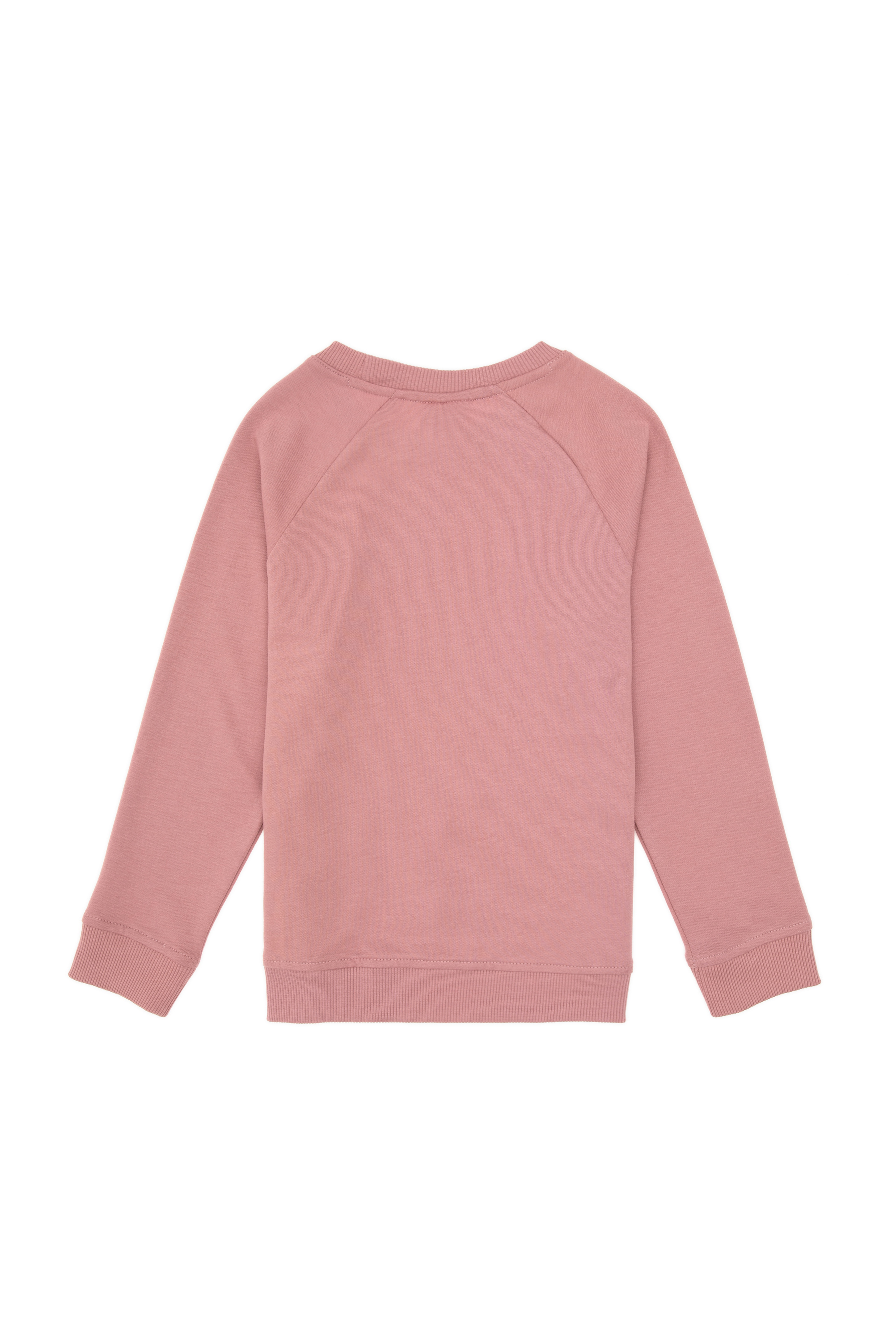 Erkek Çocuk Orkide Basic Bisiklet Yaka Sweatshirt - Image 4