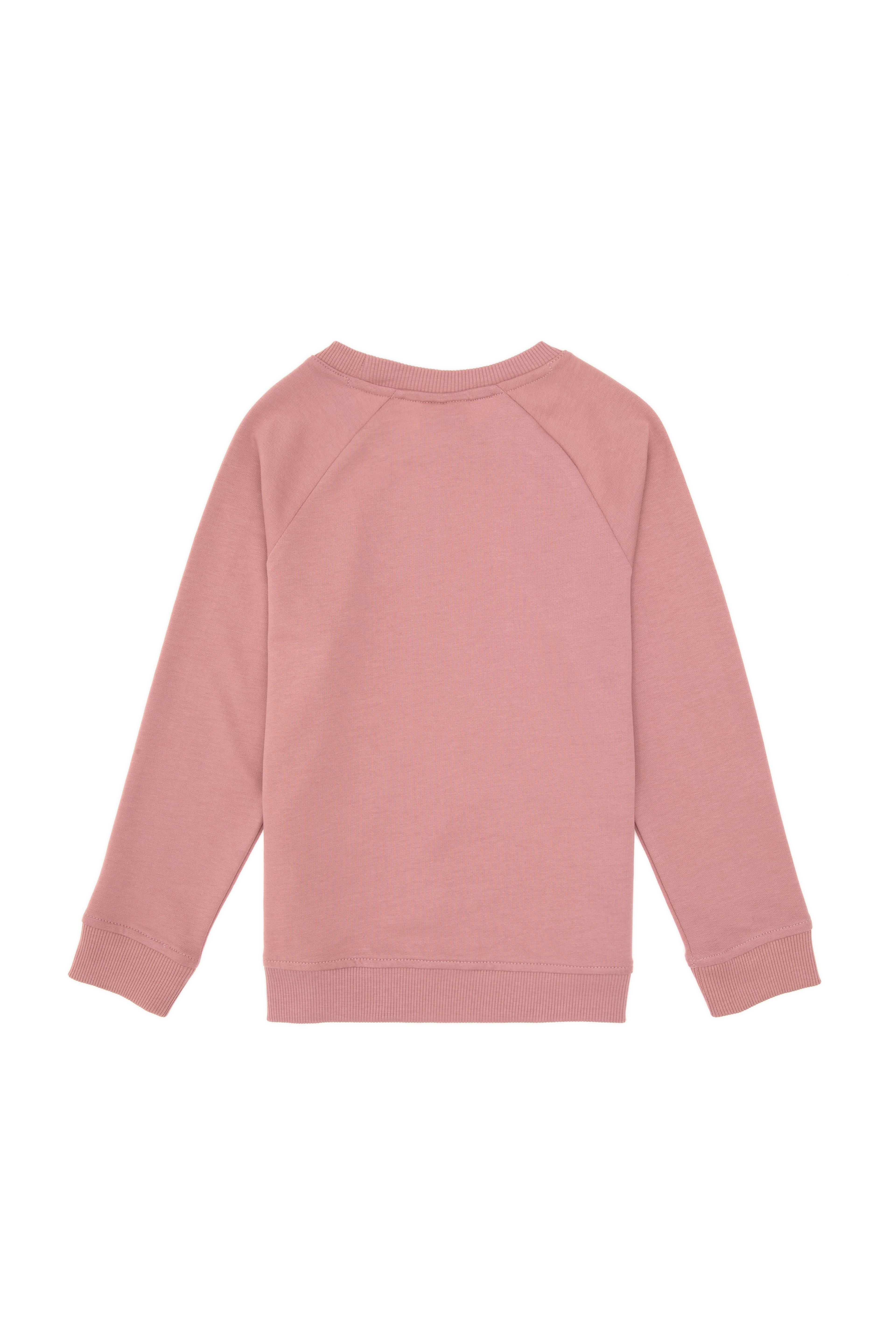 Erkek Çocuk Orkide Basic Bisiklet Yaka Sweatshirt