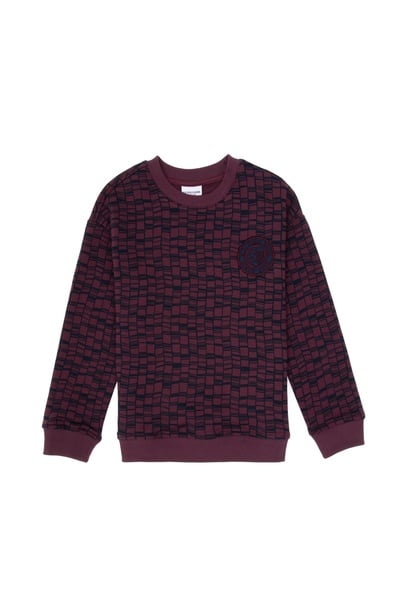 Erkek Çocuk Bordo Bisiklet Yaka Sweatshirt