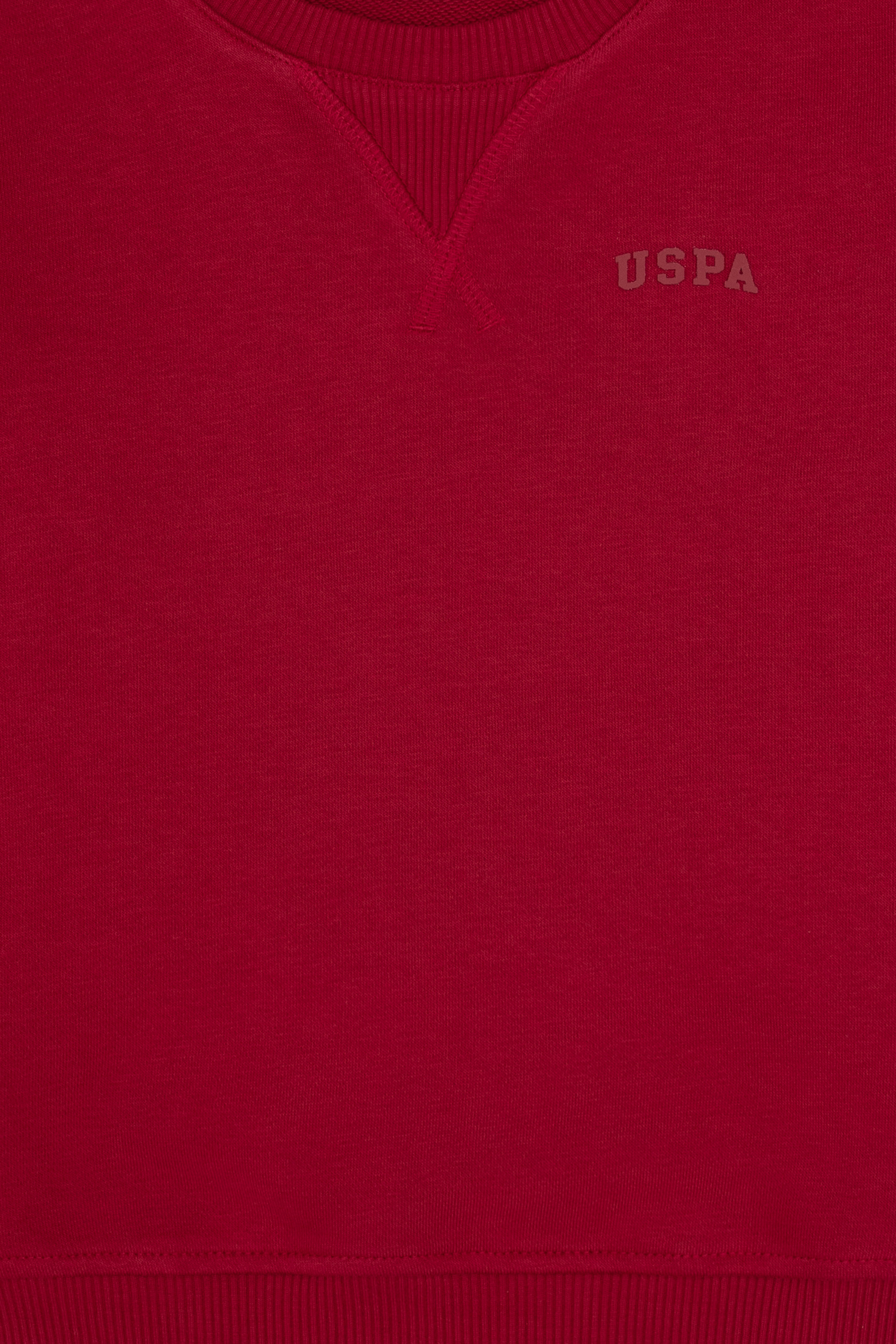 Erkek Çocuk Koyu Frambuaz Bisiklet Yaka Basic Sweatshirt - Image 5