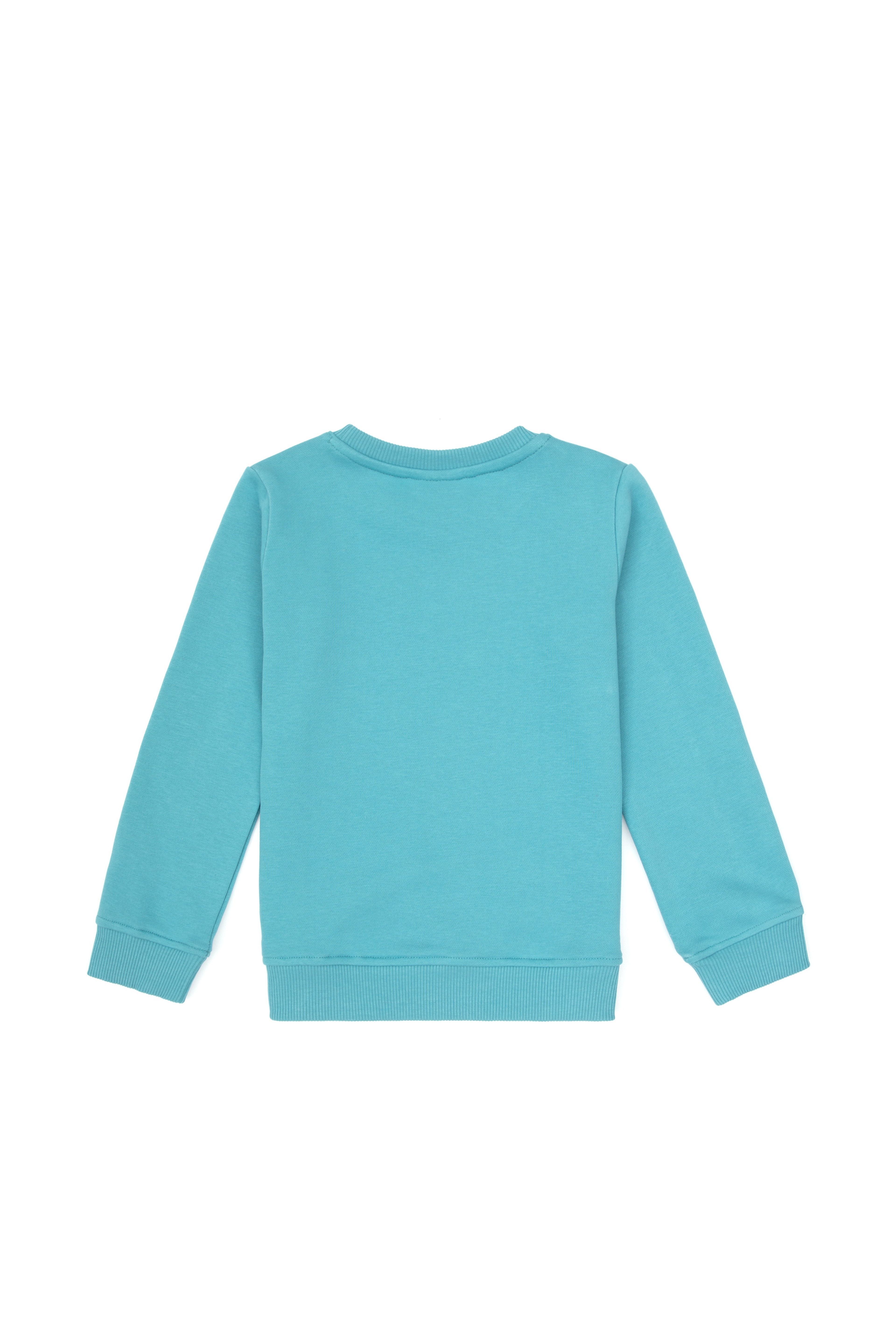 Erkek Çocuk Mint Bisiklet Yaka Sweatshirt - Image 4