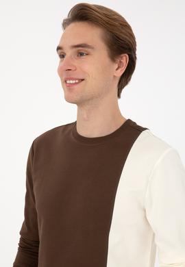 Erkek Regular Fit Bisiklet Yaka Kahverengi İnce Sweatshirt - 50316316017