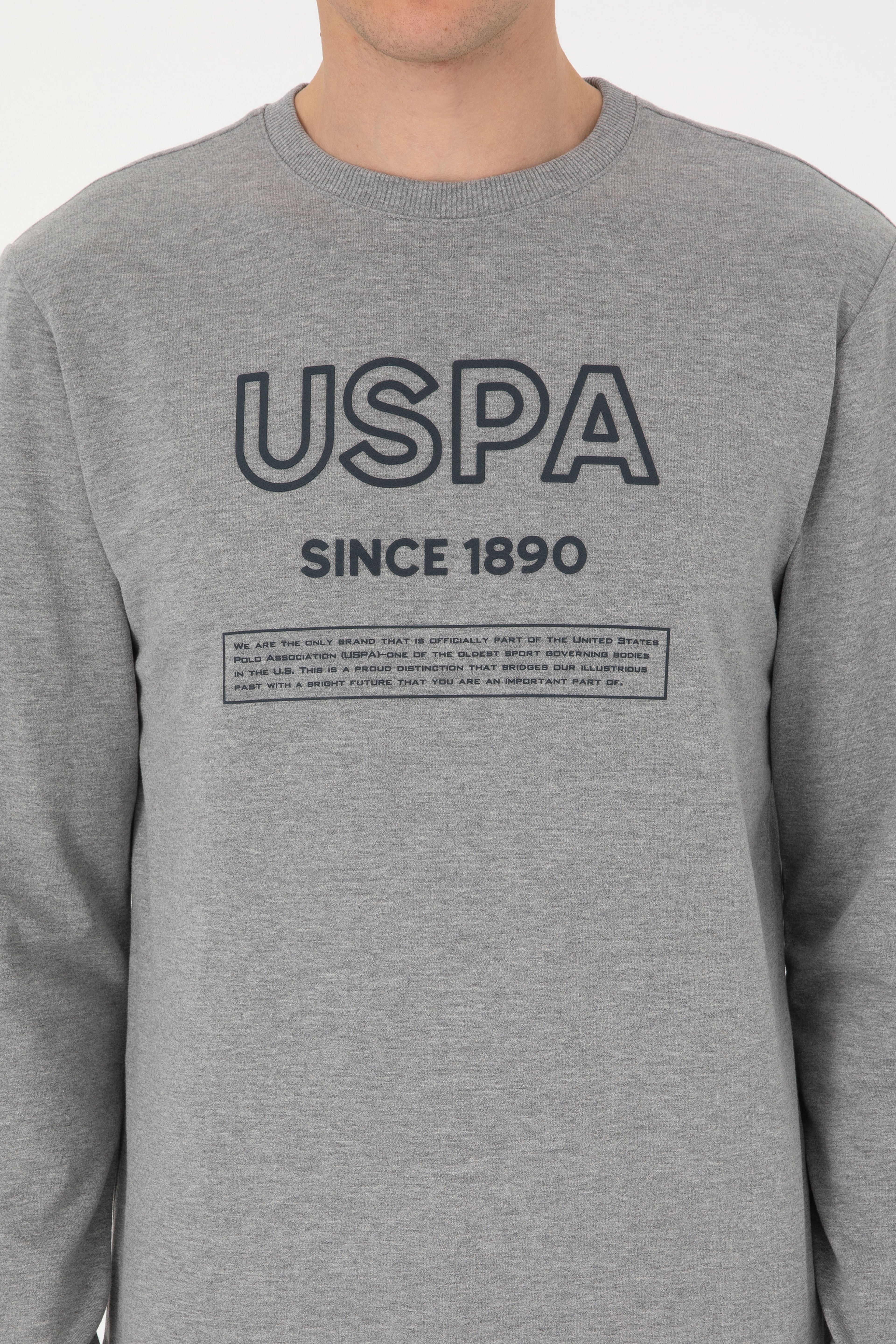 Erkek Regular Fit Bisiklet Yaka Gri Melanj Sweatshirt - Image 6