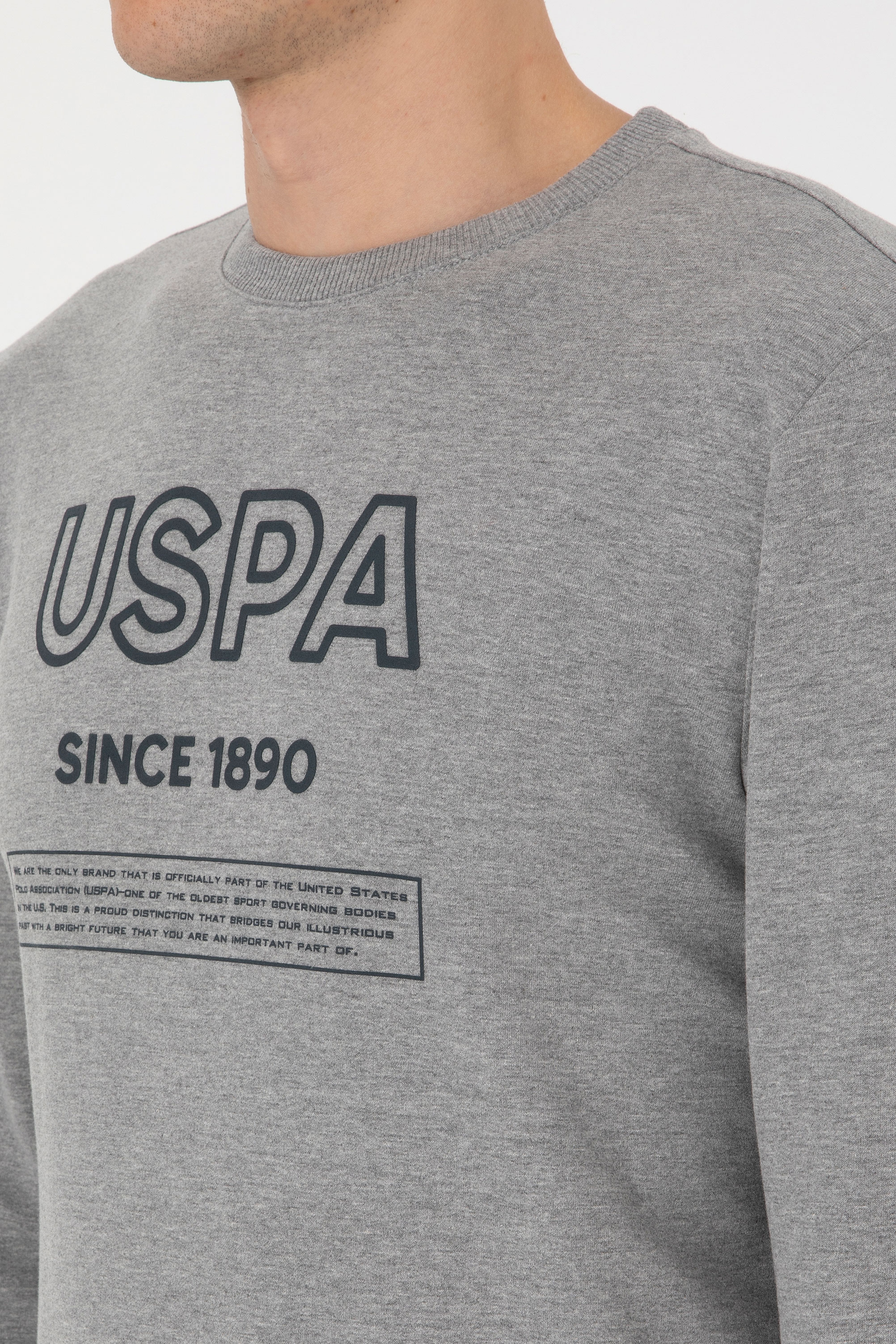 Erkek Regular Fit Bisiklet Yaka Gri Melanj Sweatshirt - Image 7