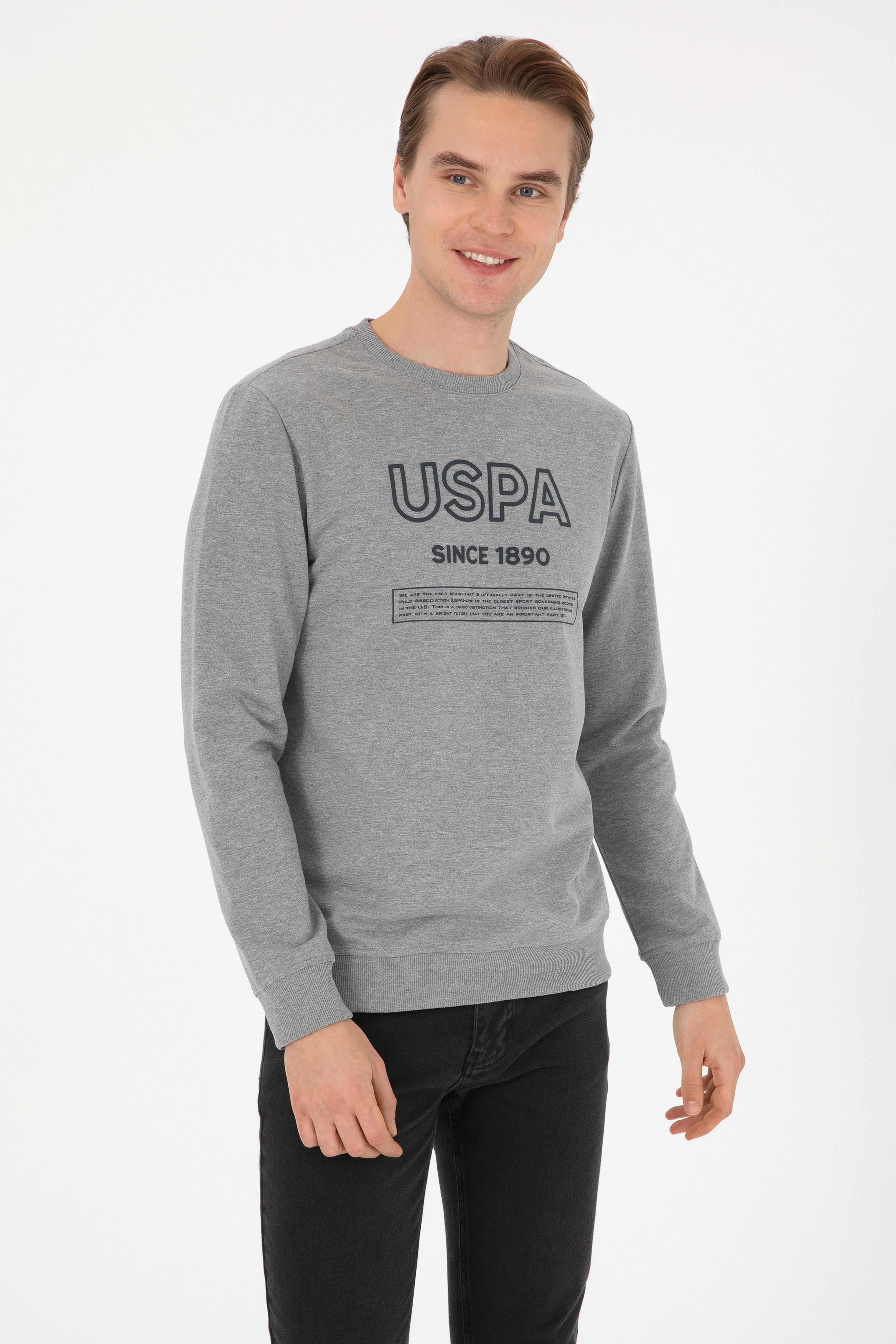 Erkek Regular Fit Bisiklet Yaka Gri Melanj Sweatshirt - Image 1