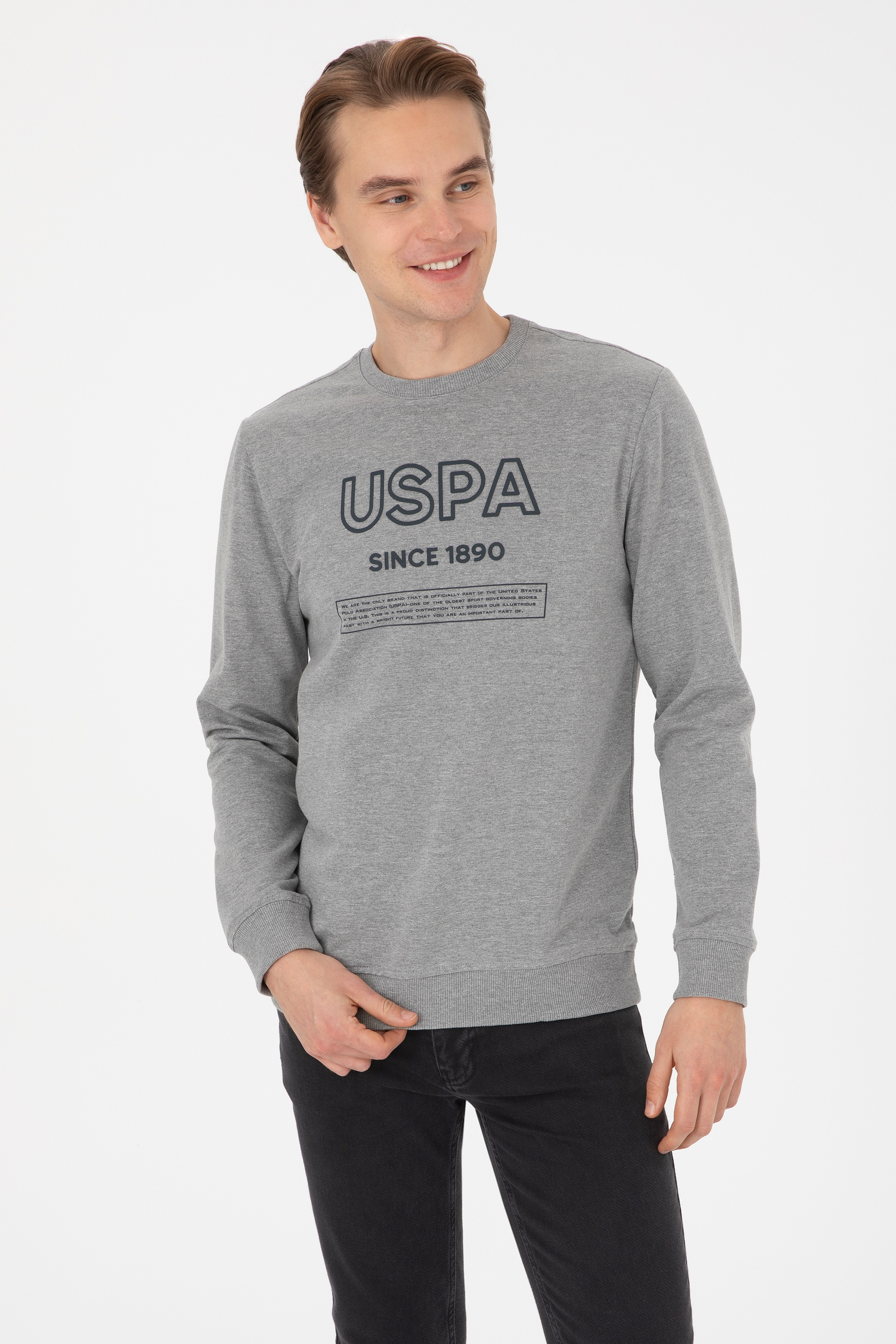 Erkek Regular Fit Bisiklet Yaka Gri Melanj Sweatshirt - Image 3