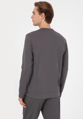 Erkek Regular Fit Bisiklet Yaka Gri Sweatshirt - 50310004001