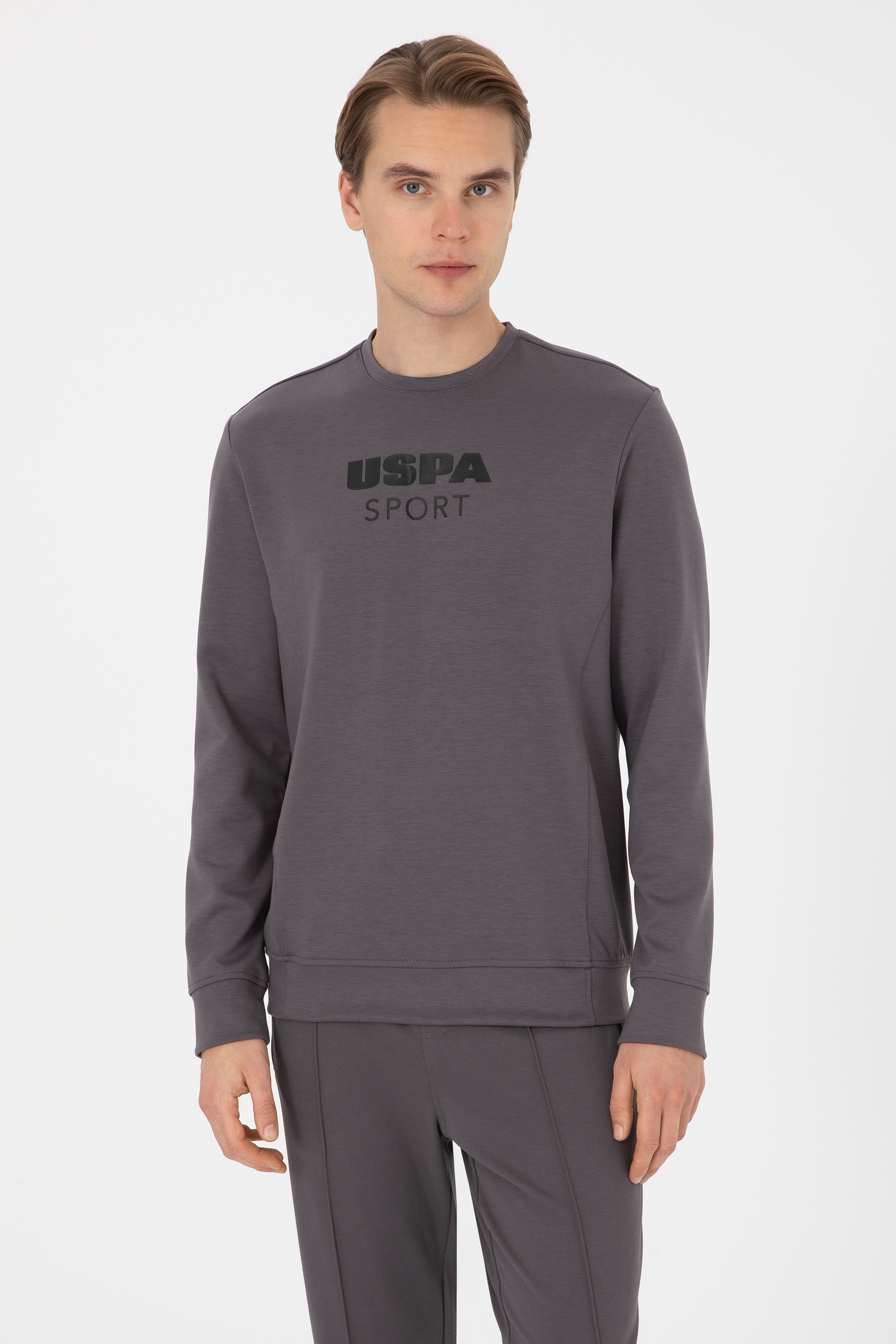 Erkek Regular Fit Bisiklet Yaka Gri Sweatshirt - Image 1