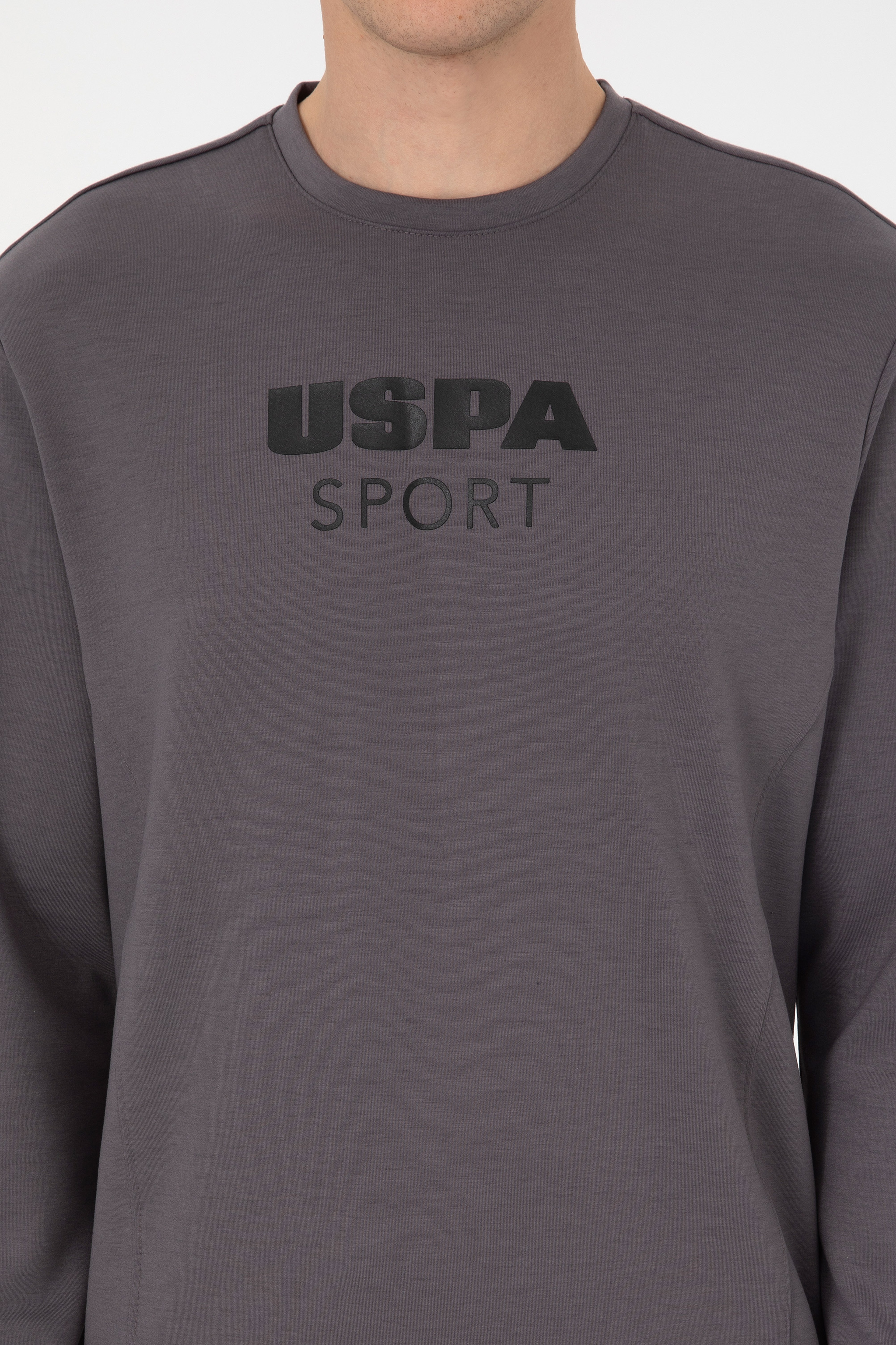 Erkek Regular Fit Bisiklet Yaka Gri Sweatshirt - Image 6