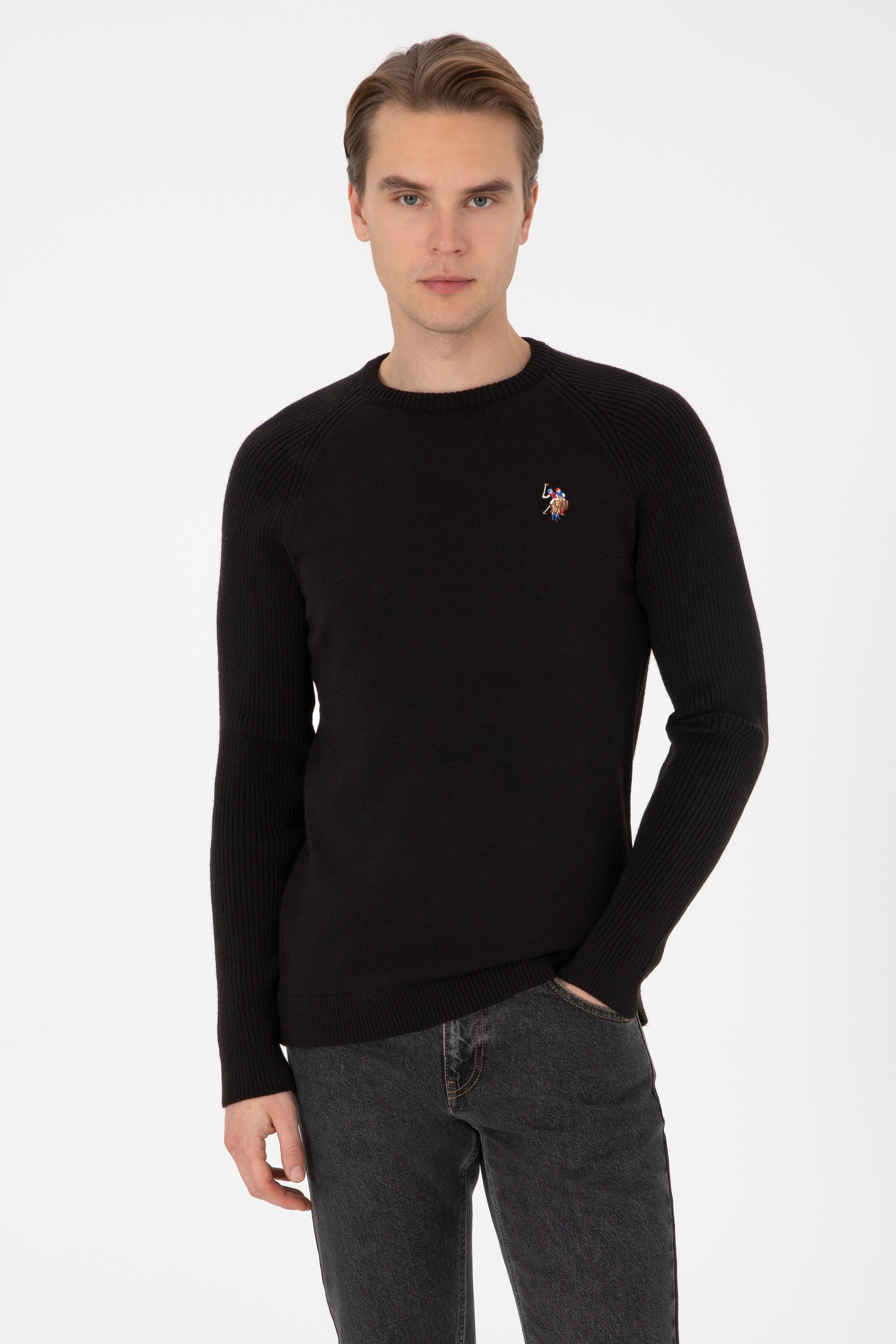 Erkek  Regular Fit Bisiklet Yaka Siyah Kazak - Image 1