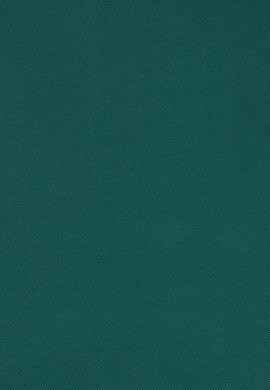 Kadın Koyu Yeşil Tişört - 50319995023