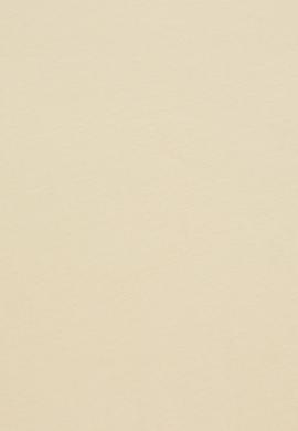 Kadın Açık Haki Tişört - 50297454064