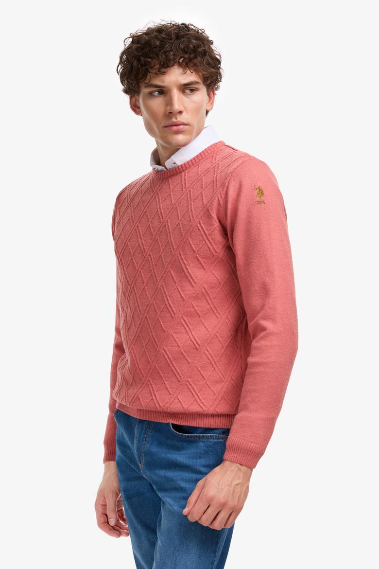 Erkek Regular Fit Bisiklet Yaka Gül Kurusu Kazak - 50314974005