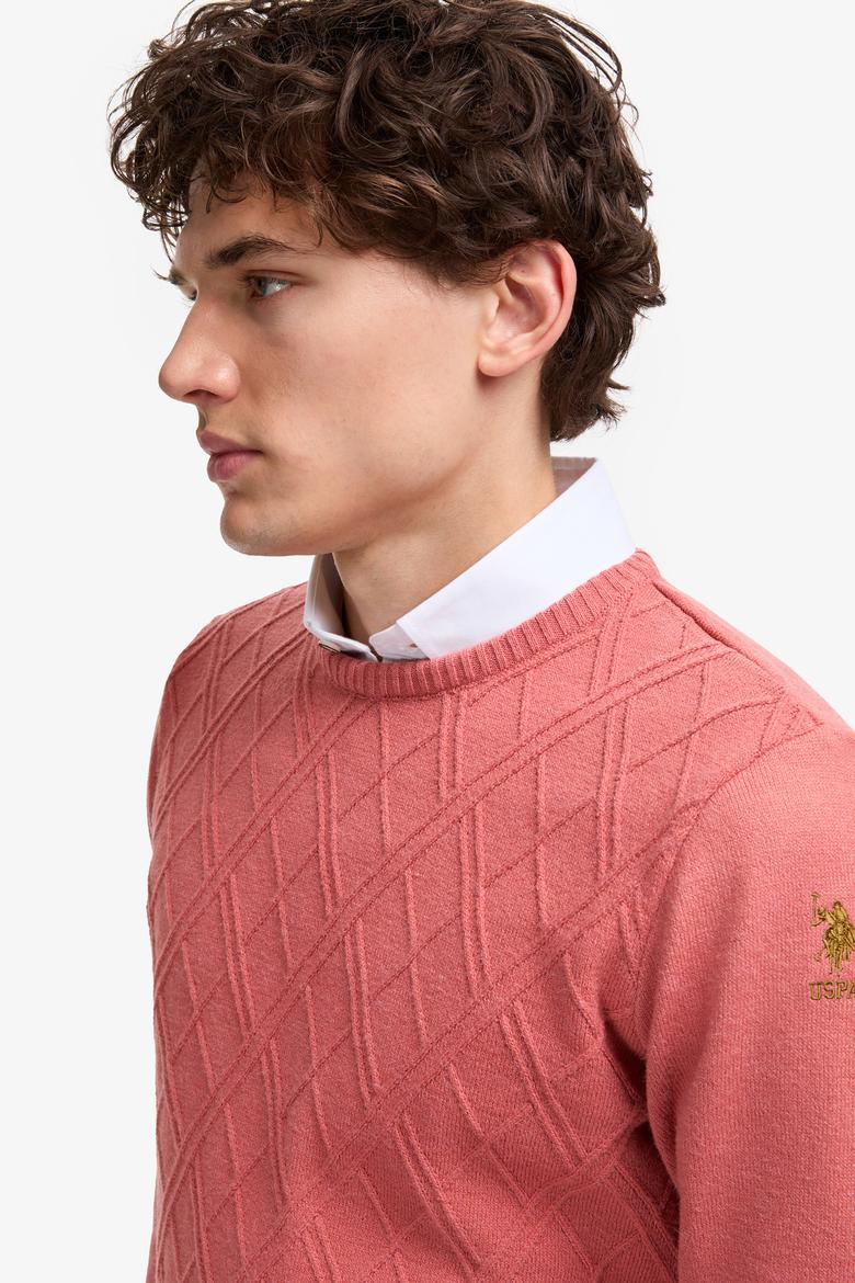 Erkek Regular Fit Bisiklet Yaka Gül Kurusu Kazak - 50314974005