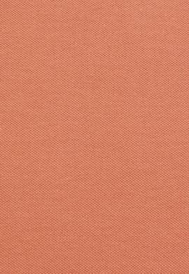 Kadın Gül Kurusu Basic Tişört - 50323447044