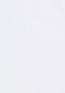 Kadın Beyaz Basic Tişört - 50323448013