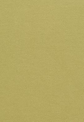 Kadın Yeşil Basic Tişört - 50323447023