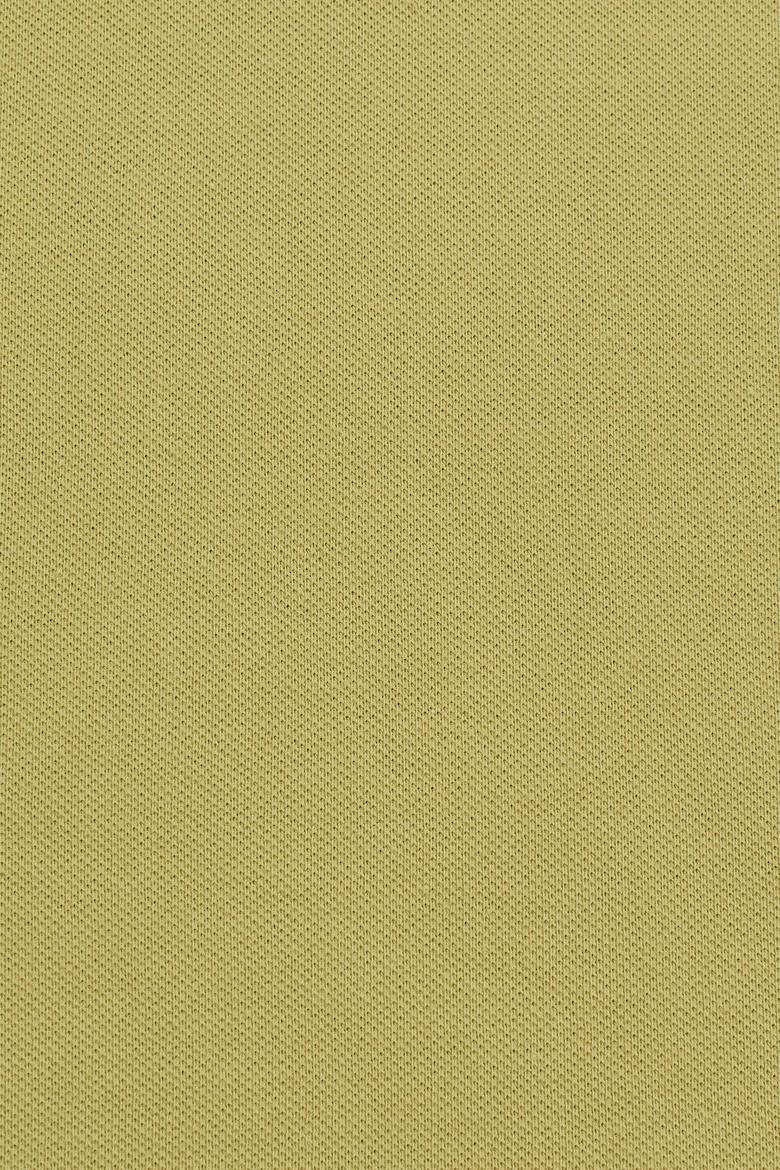 Kadın Yeşil Basic Tişört - 50323447023