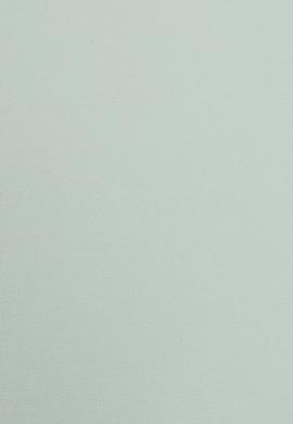 Erkek Su Yeşili Uzun Kollu Basic Gömlek - 50297997053