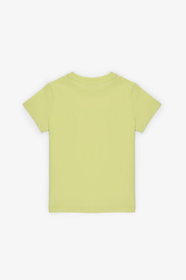 Erkek Çocuk Fıstık Yeşili Bisiklet Yaka Basic Tişört - 50325607101