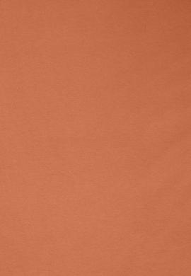 Kadın Gül Kurusu Örme Elbise - 50323539009