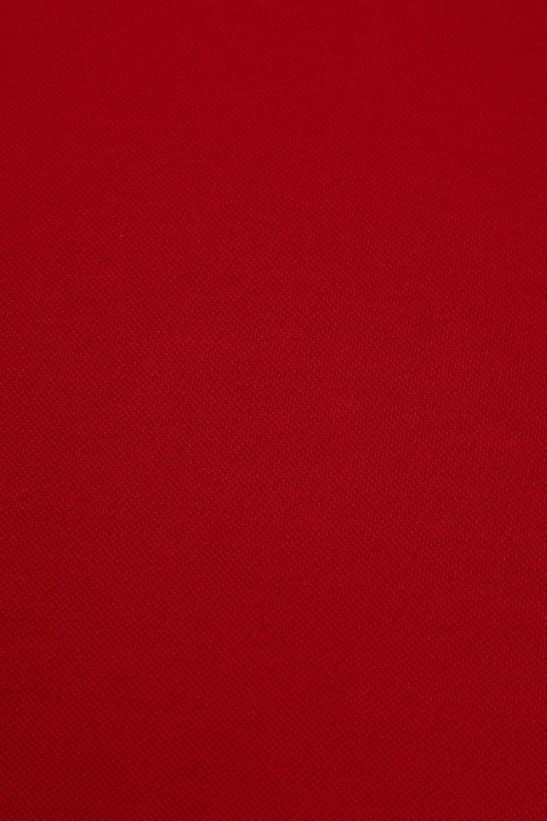 Erkek Bordo Basic Tişört - 50322304373