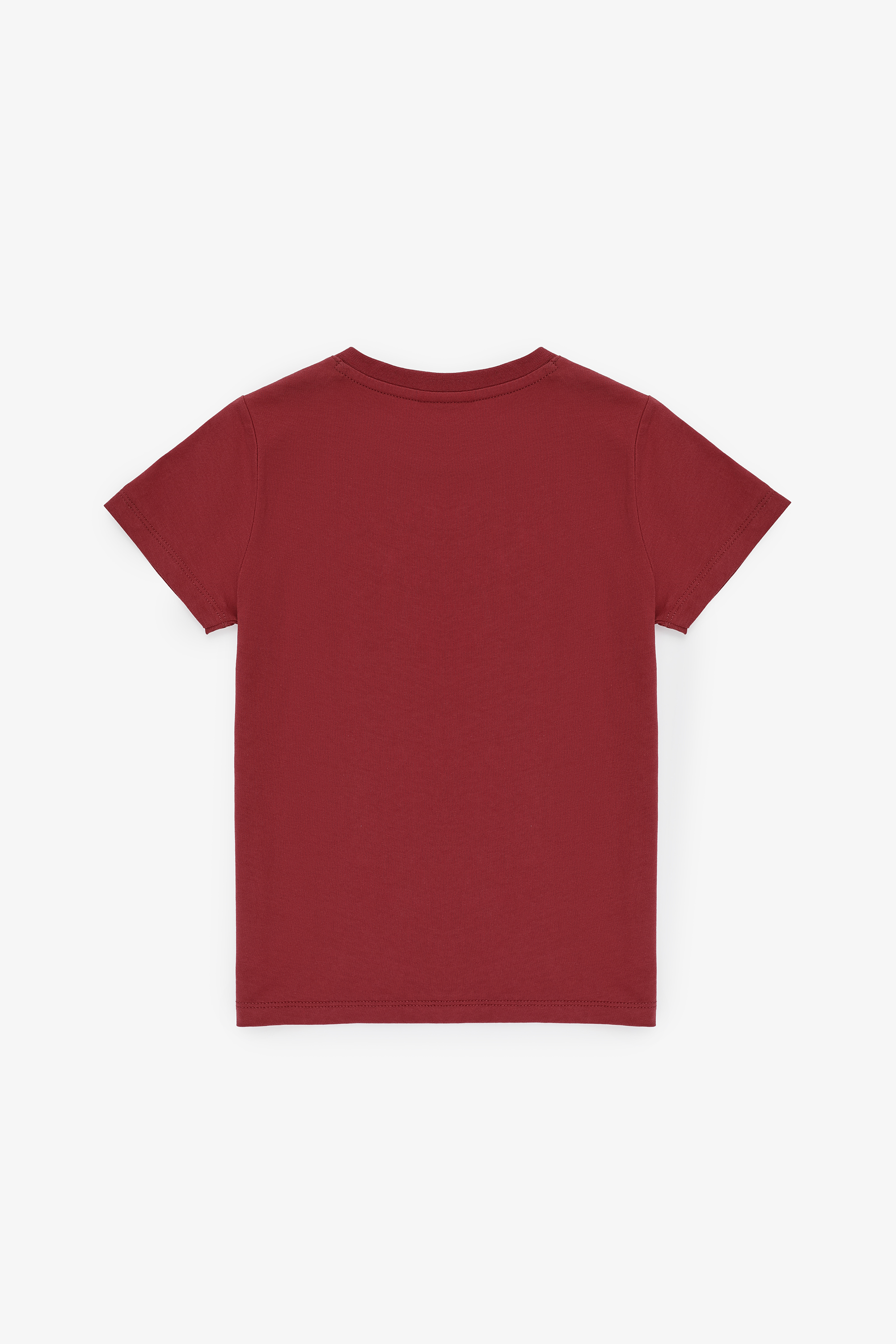 Erkek Çocuk Vişne Basic Tişört - 50325556092