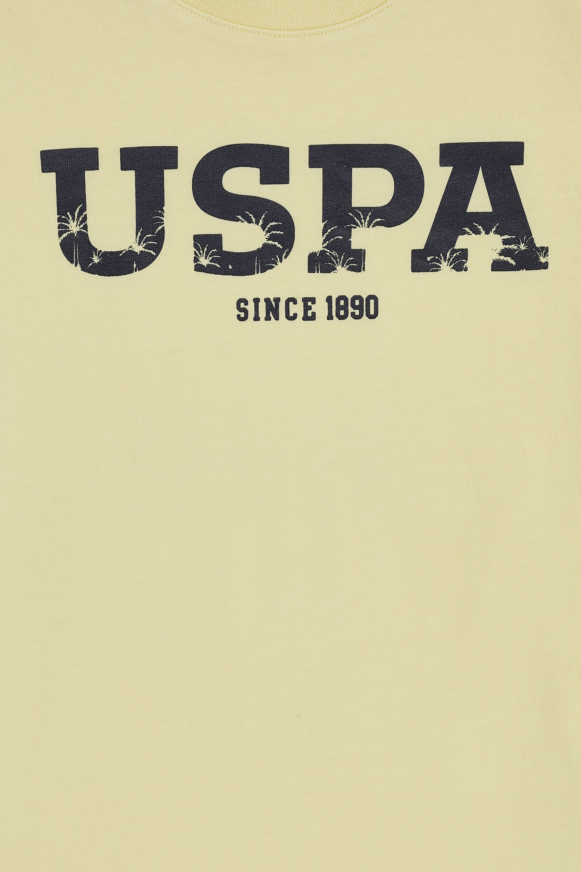 Erkek Çocuk Açık Sarı Basic Tişört - 50325607004