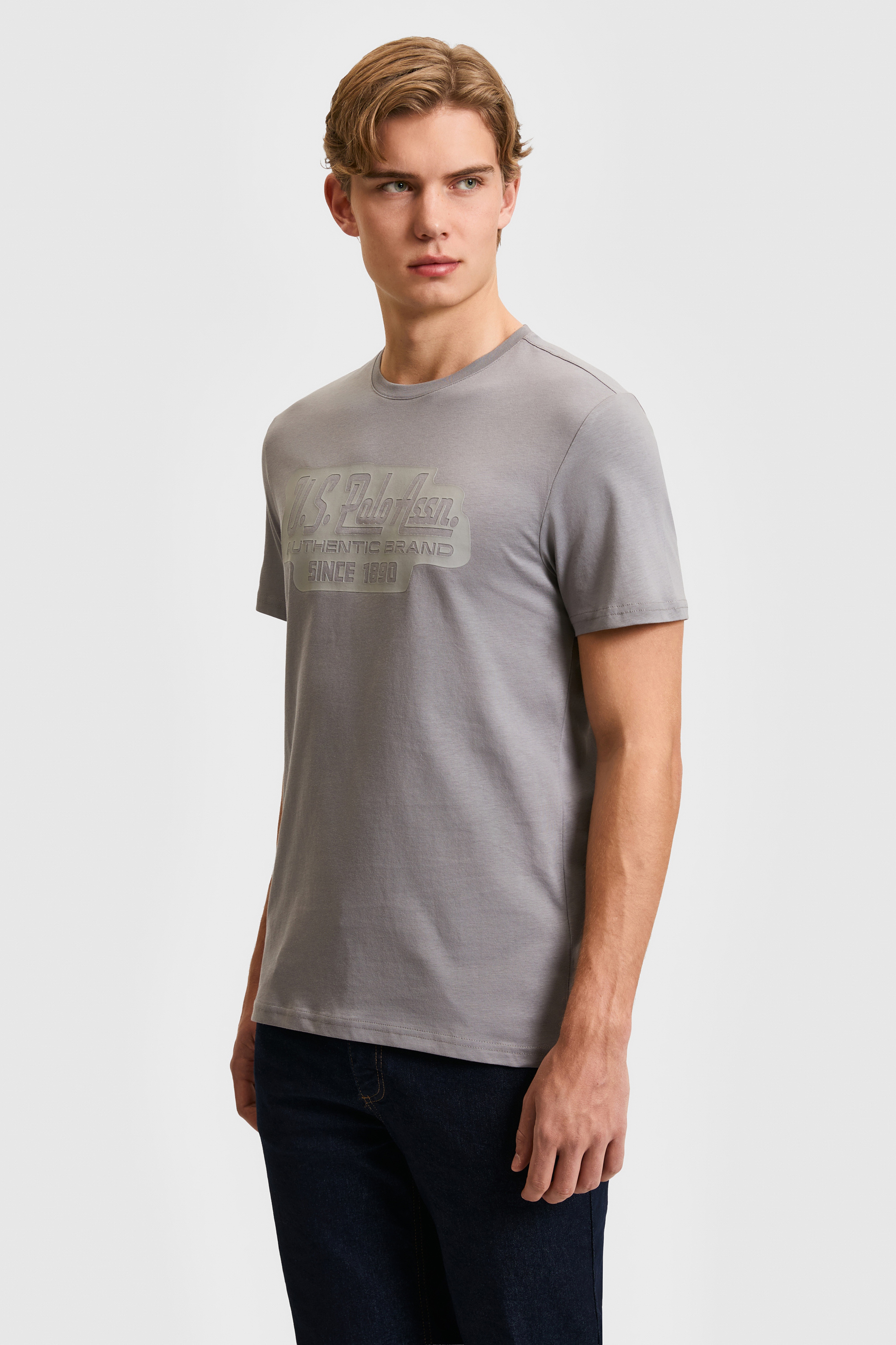 Erkek Regular Fit Bisiklet Yaka Gri Tişört