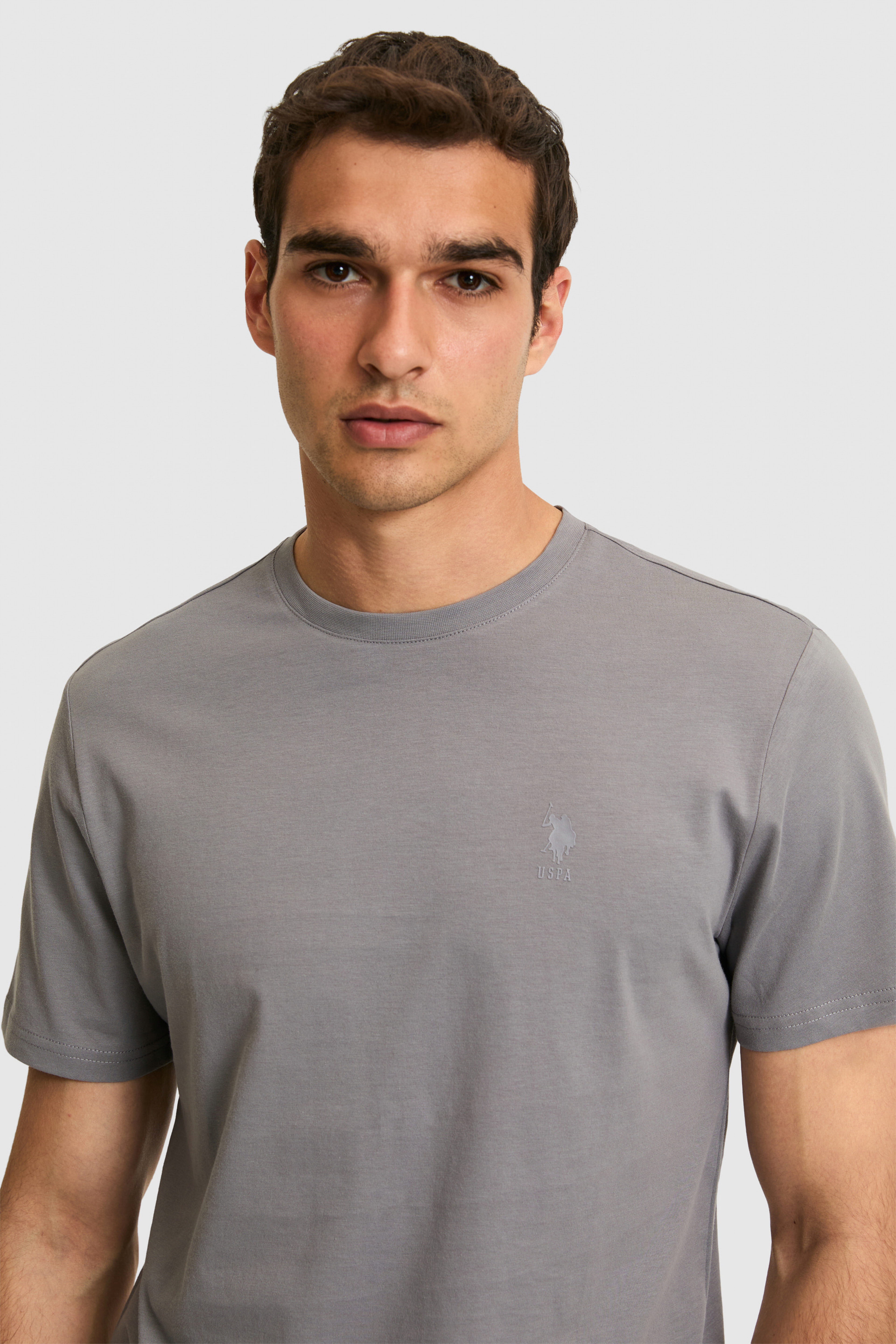 Erkek Regular Fit Bisiklet Yaka Gri Basic Tişört