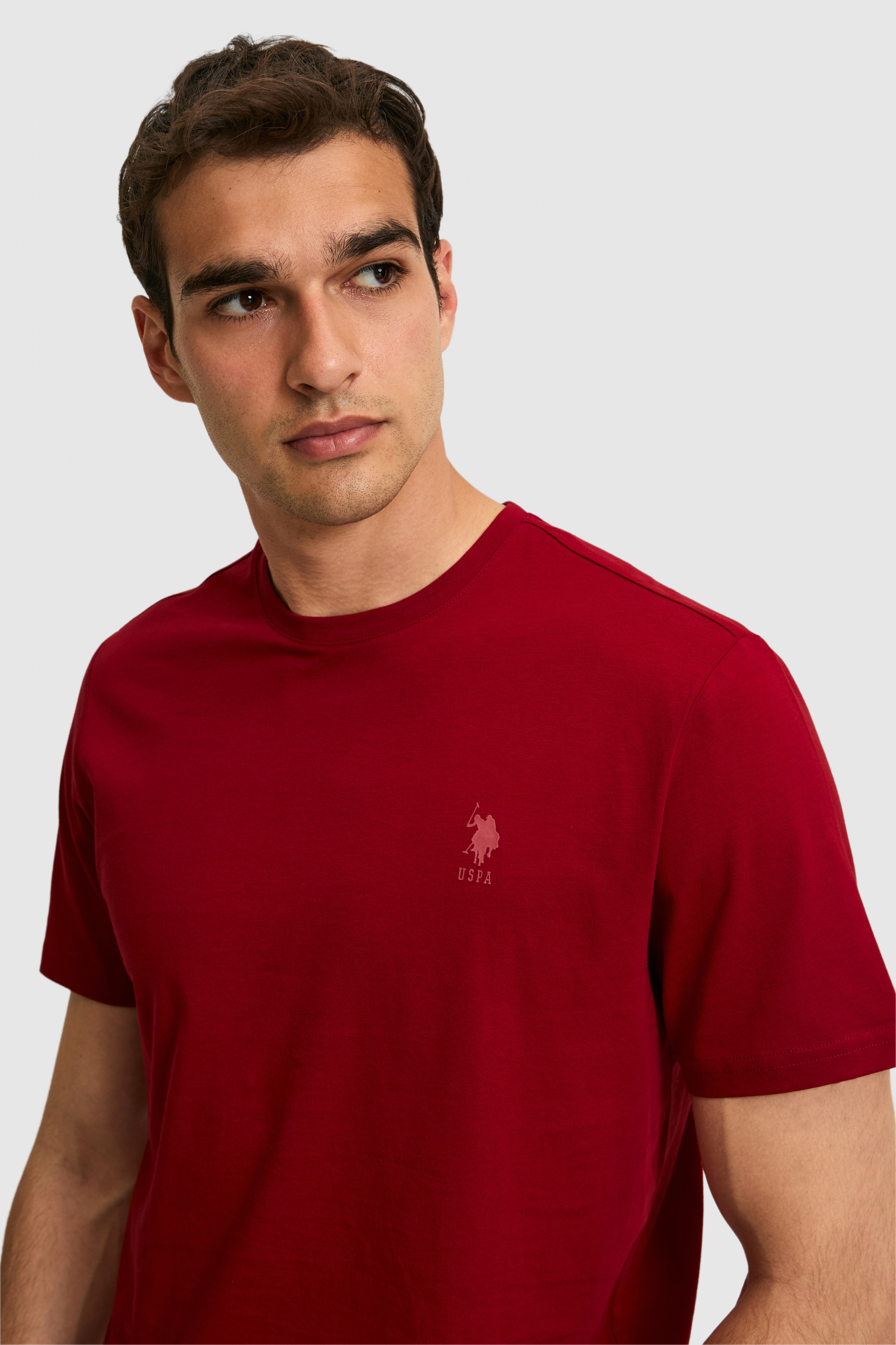 Erkek Regular Fit Bisiklet Yaka Bordo Basic Tişört - Image 2