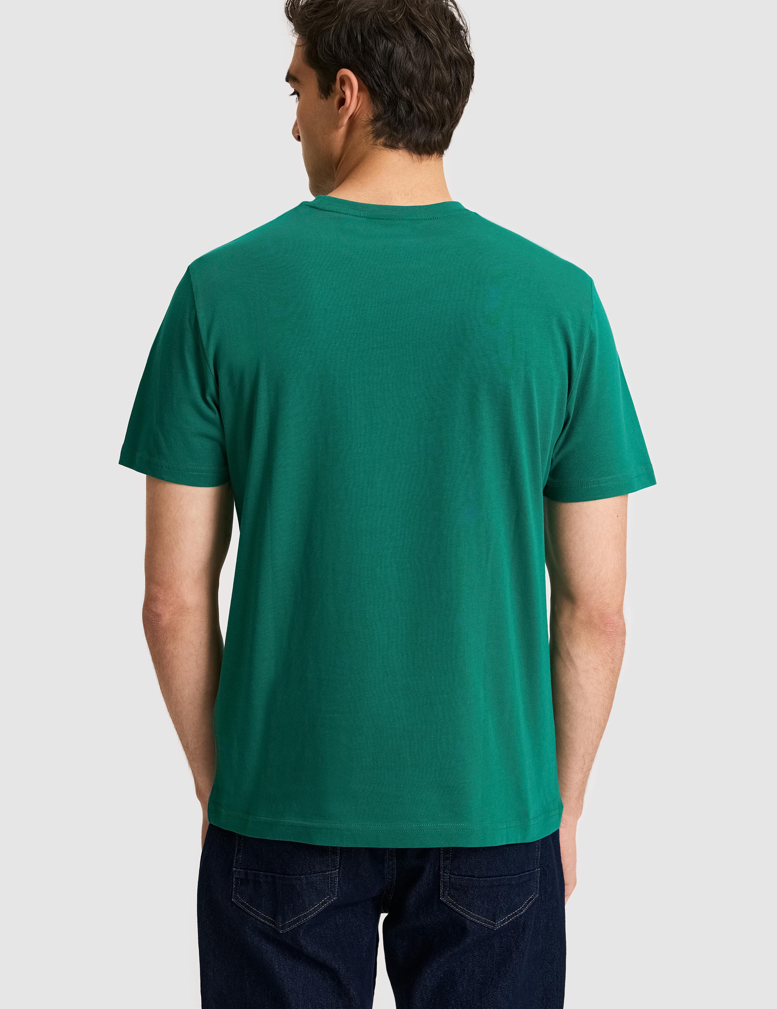 تی شرت یقه گرد رگولار مردانه یو اس پولو | U.S. Polo Assn. - تصویر 5