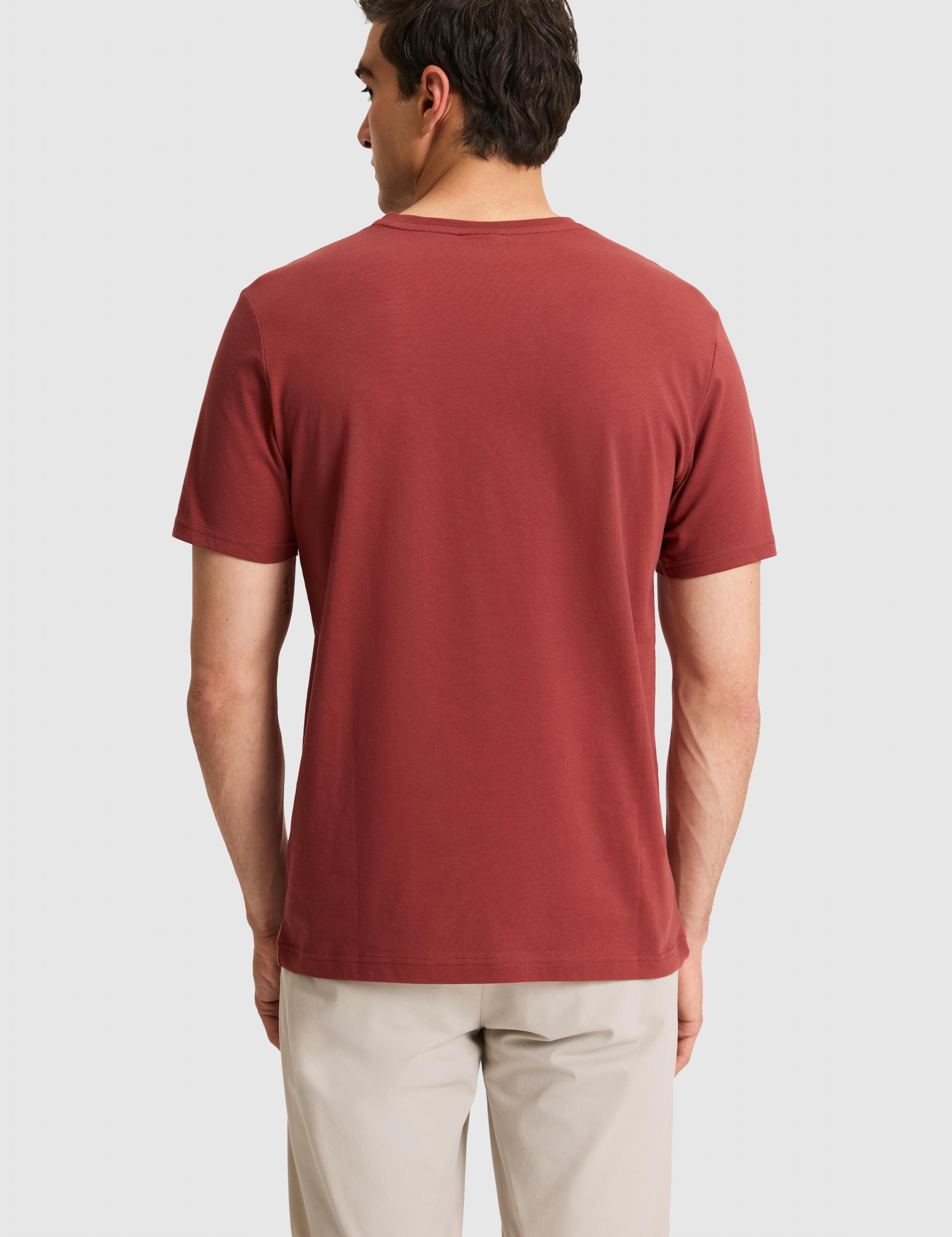 تی شرت یقه هفت رگولار مردانه یو اس پولو | U.S. Polo Assn. - تصویر 5