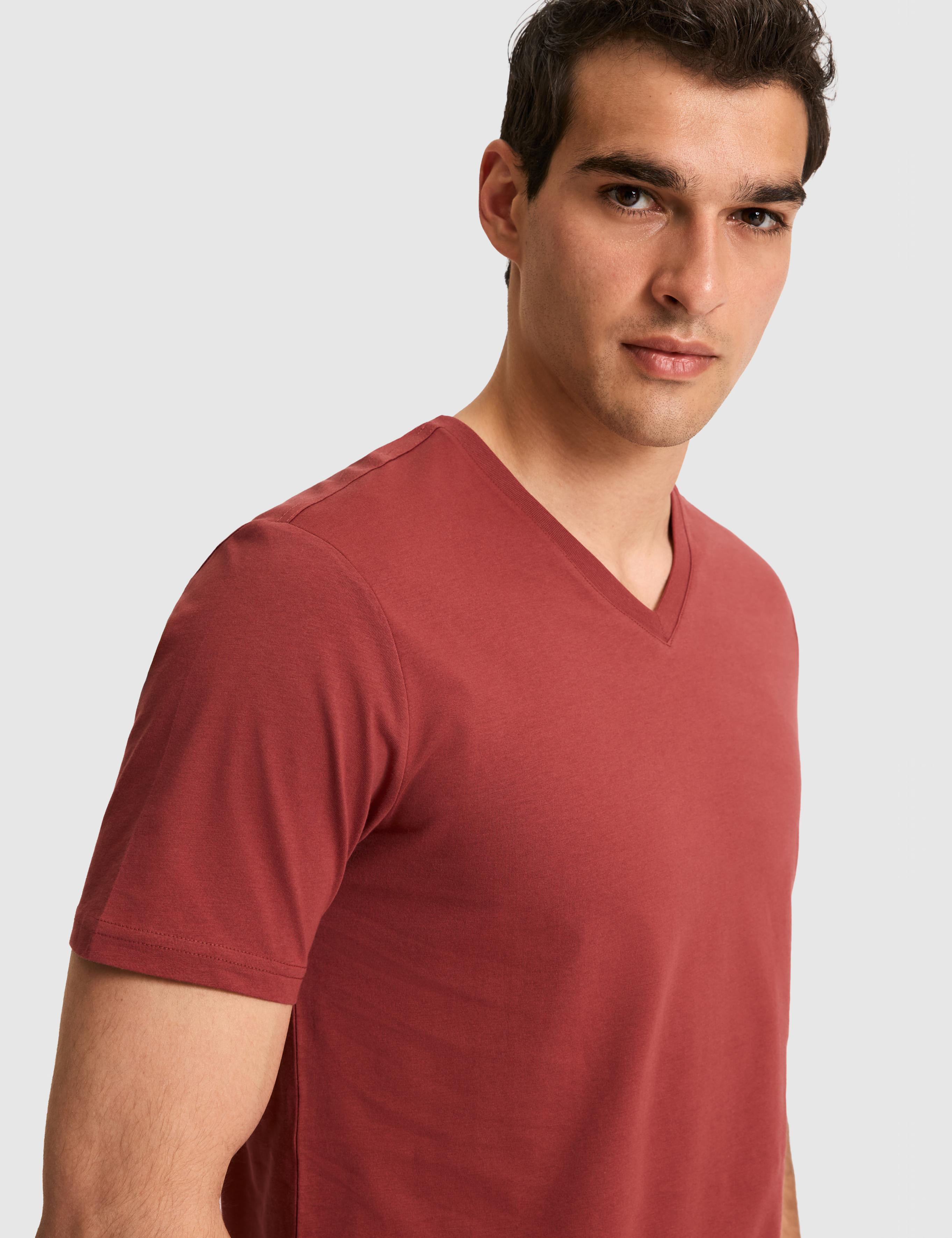 تی شرت یقه هفت رگولار مردانه یو اس پولو | U.S. Polo Assn. - تصویر 2