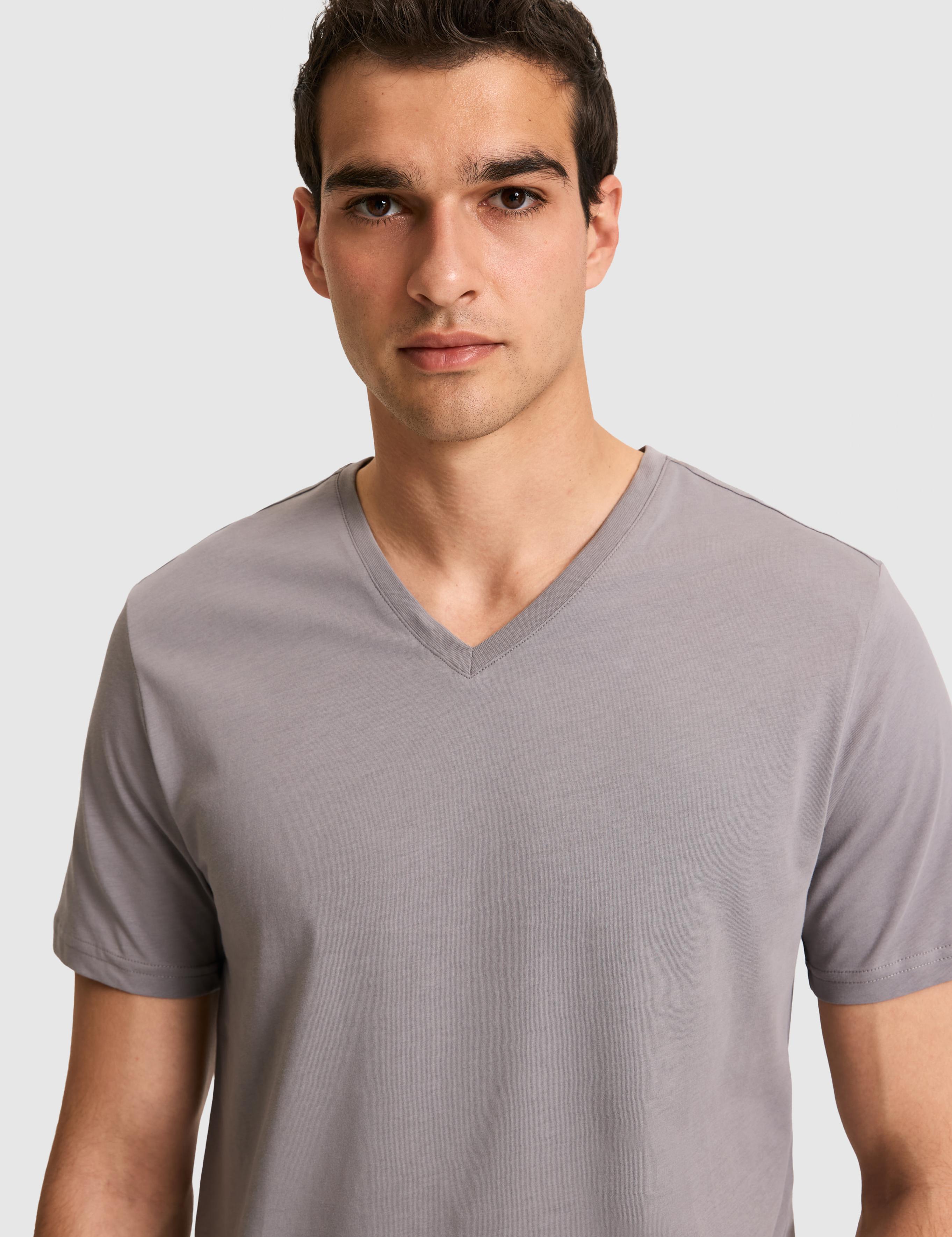 تی شرت یقه هفت رگولار مردانه یو اس پولو | U.S. Polo Assn. - تصویر 2