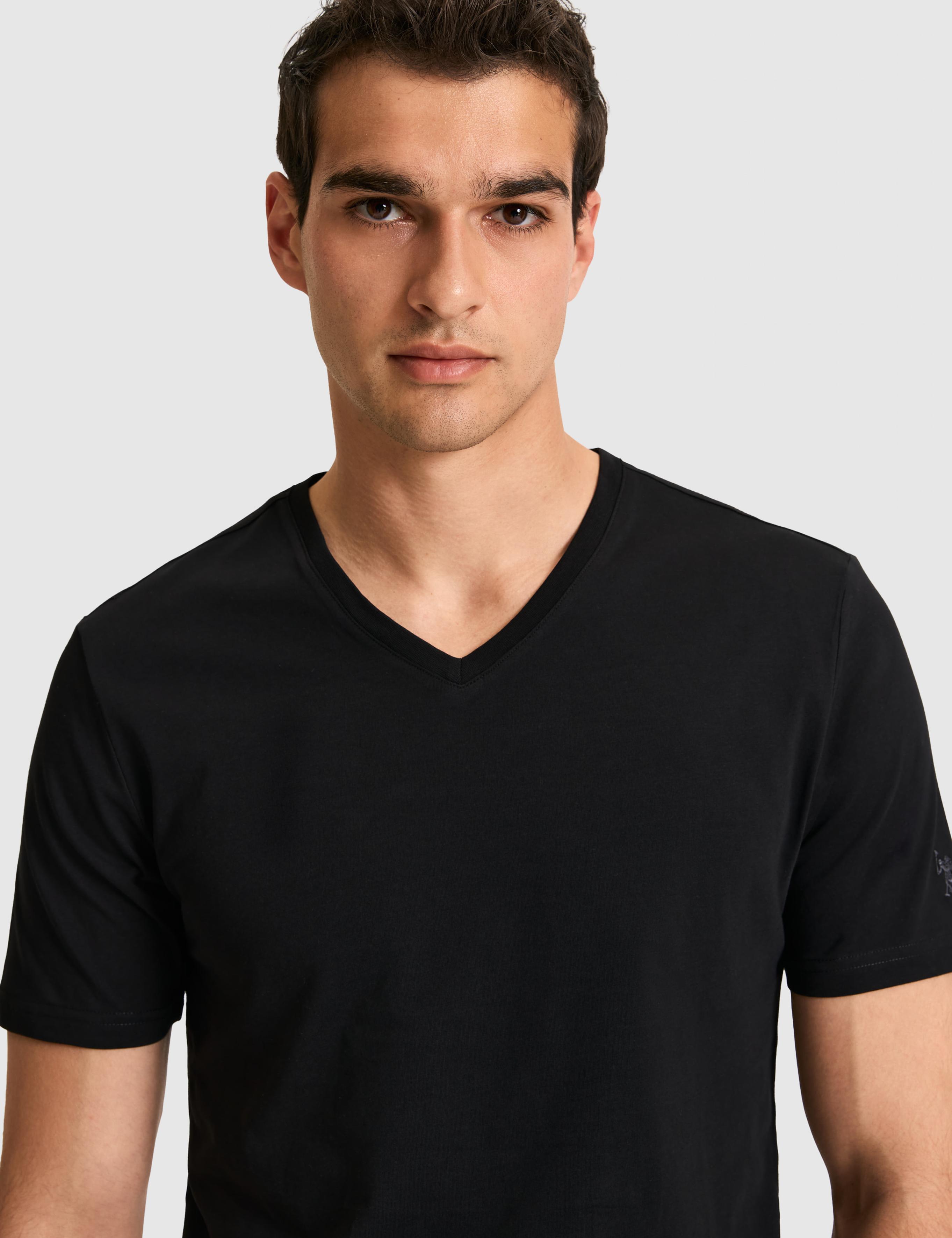 تی شرت یقه هفت رگولار مردانه یو اس پولو | U.S. Polo Assn. - تصویر 2