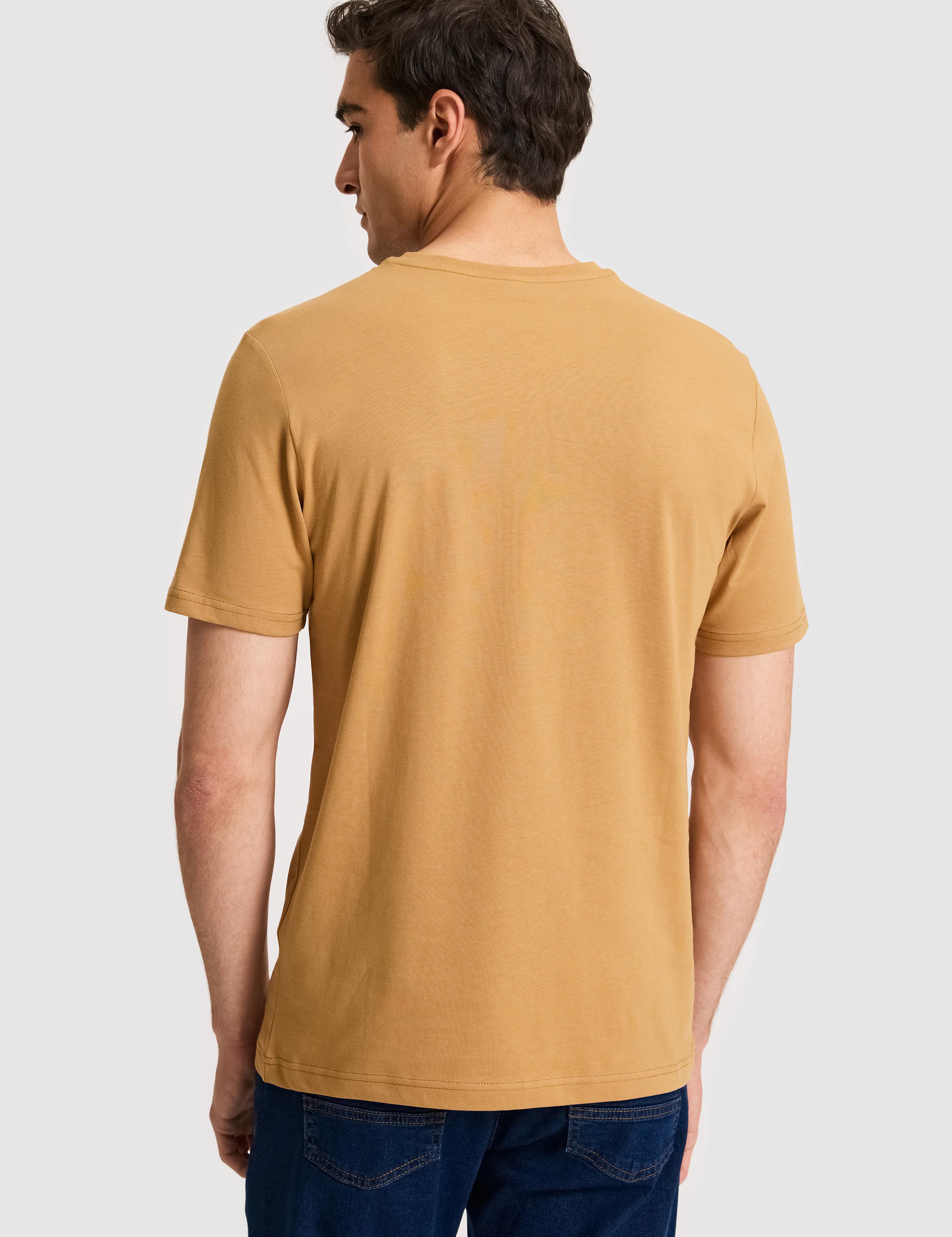 تی شرت یقه هفت رگولار مردانه یو اس پولو | U.S. Polo Assn. - تصویر 5