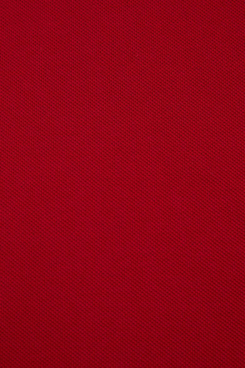 Erkek Slim Fit Polo Yaka Bordo Basic Tişört - 50324998063