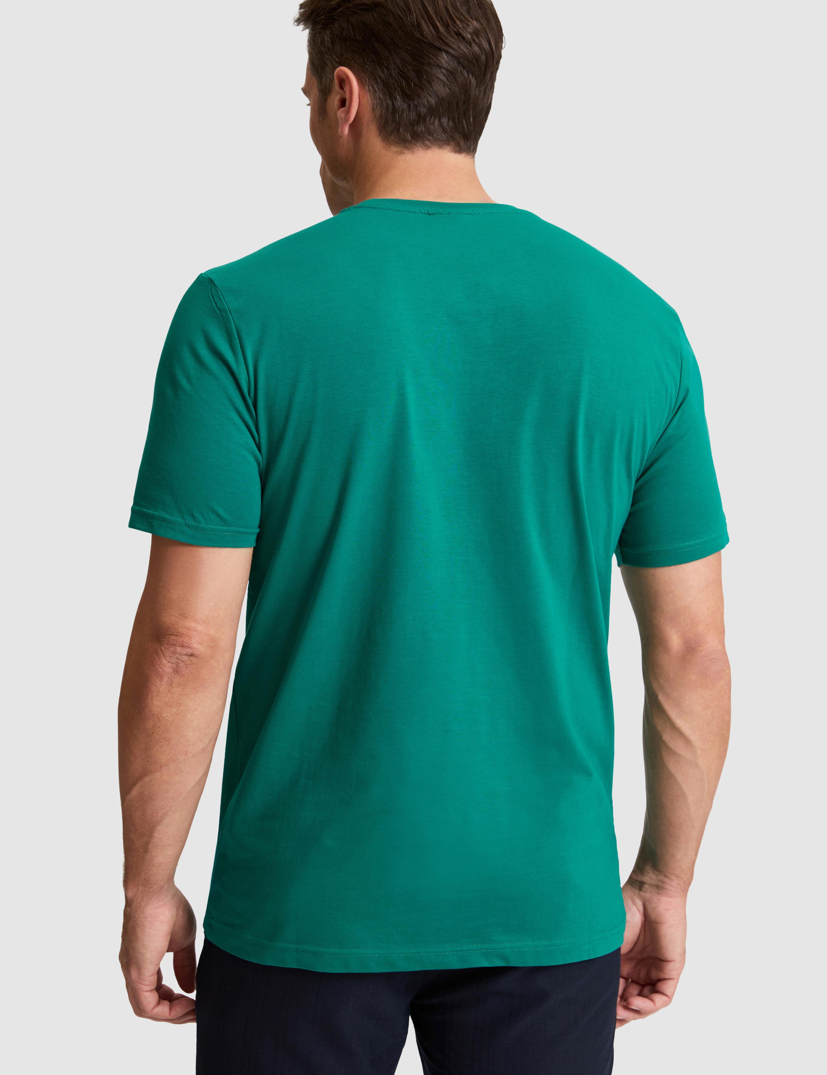 تی شرت یقه گرد رگولار مردانه یو اس پولو | U.S. Polo Assn. - تصویر 5