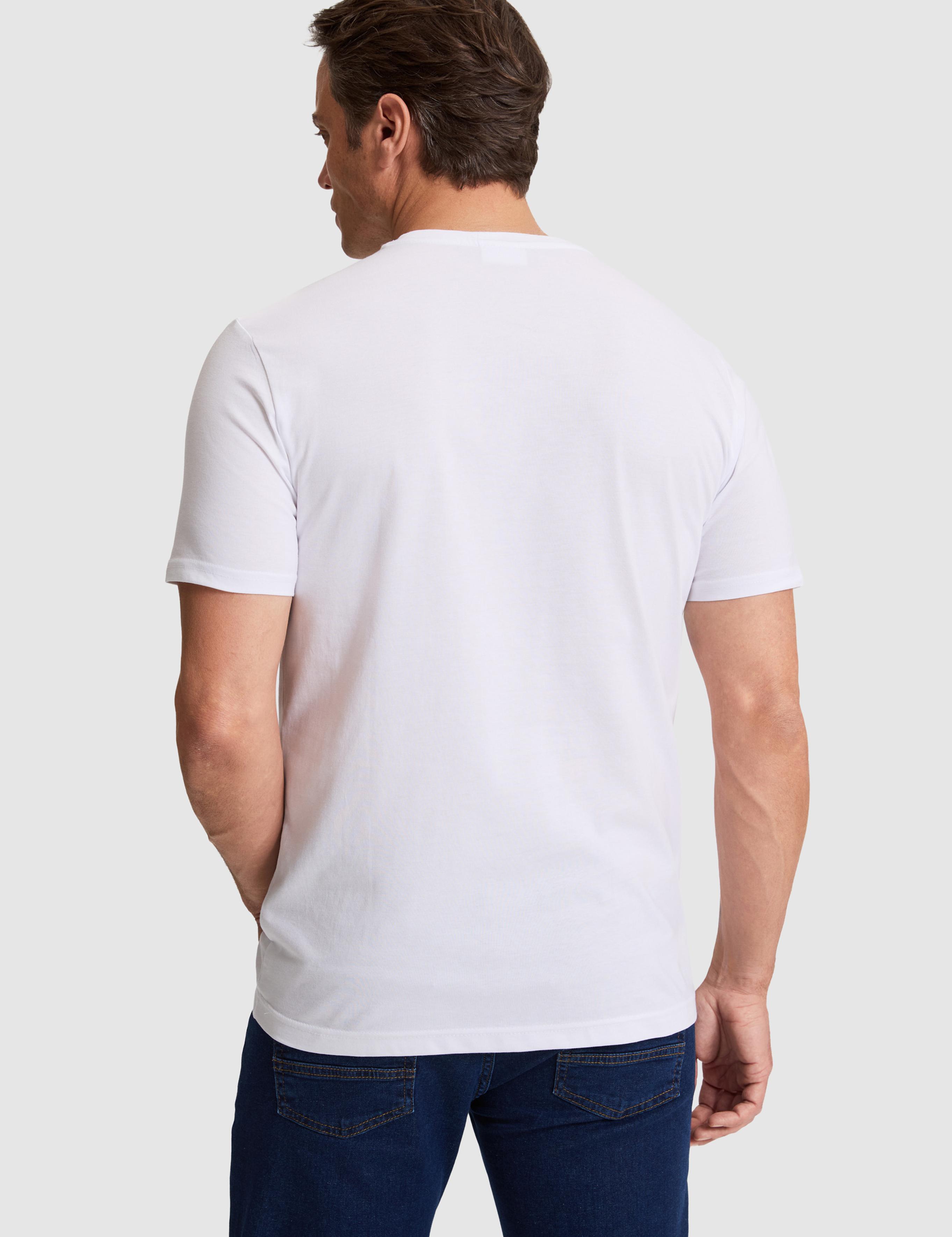 تی شرت یقه گرد رگولار مردانه یو اس پولو | U.S. Polo Assn. - تصویر 5