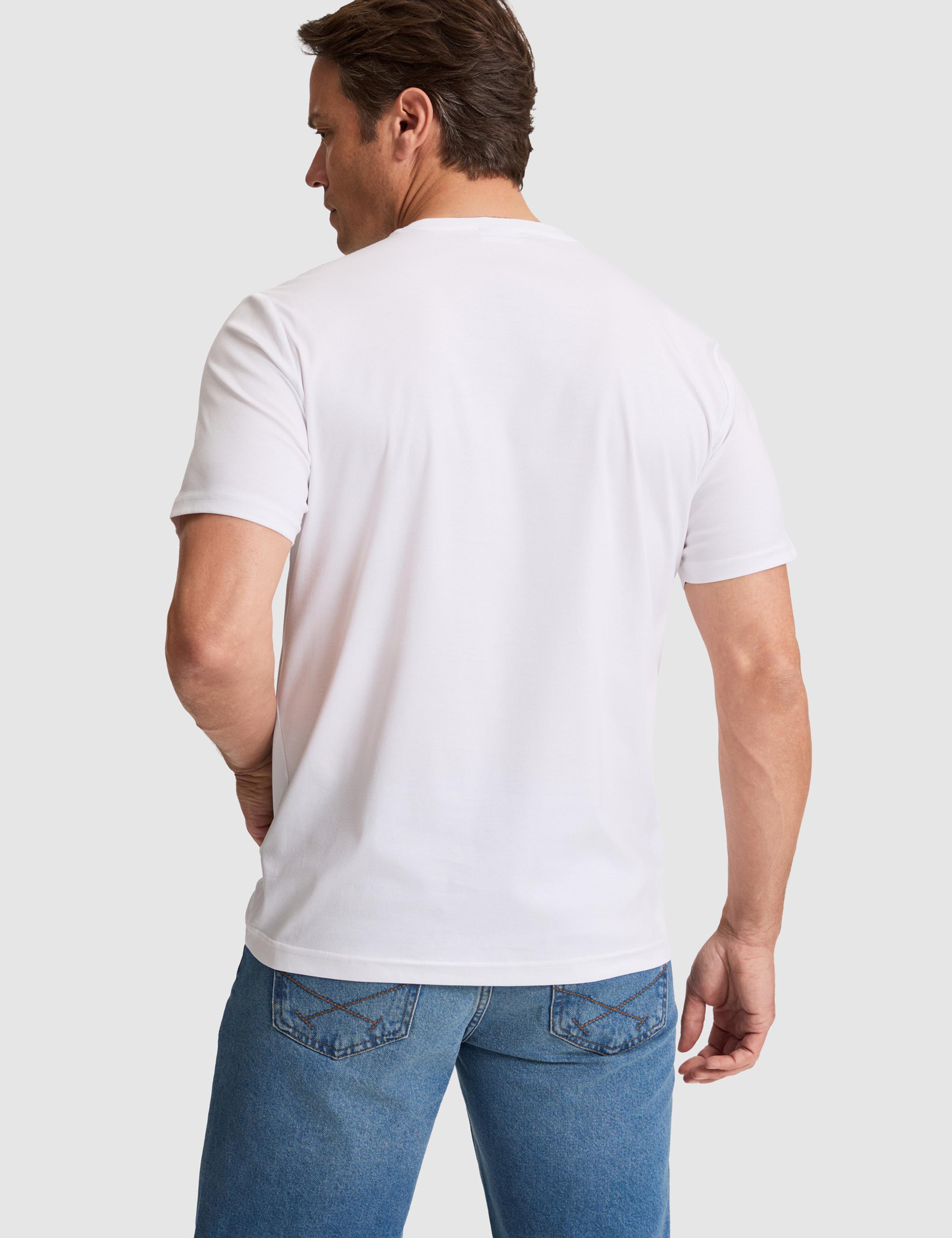تی شرت یقه گرد رگولار مردانه یو اس پولو | U.S. Polo Assn. - تصویر 5