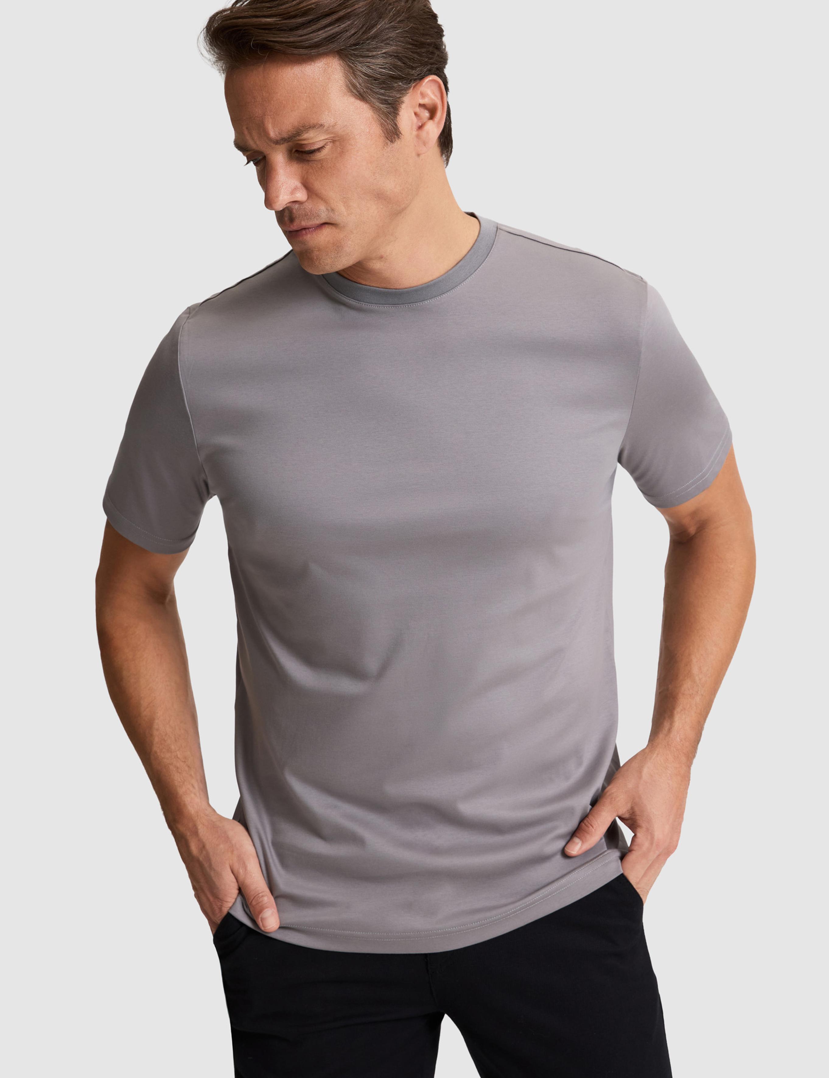 تی شرت یقه گرد رگولار مردانه یو اس پولو | U.S. Polo Assn. - تصویر 3