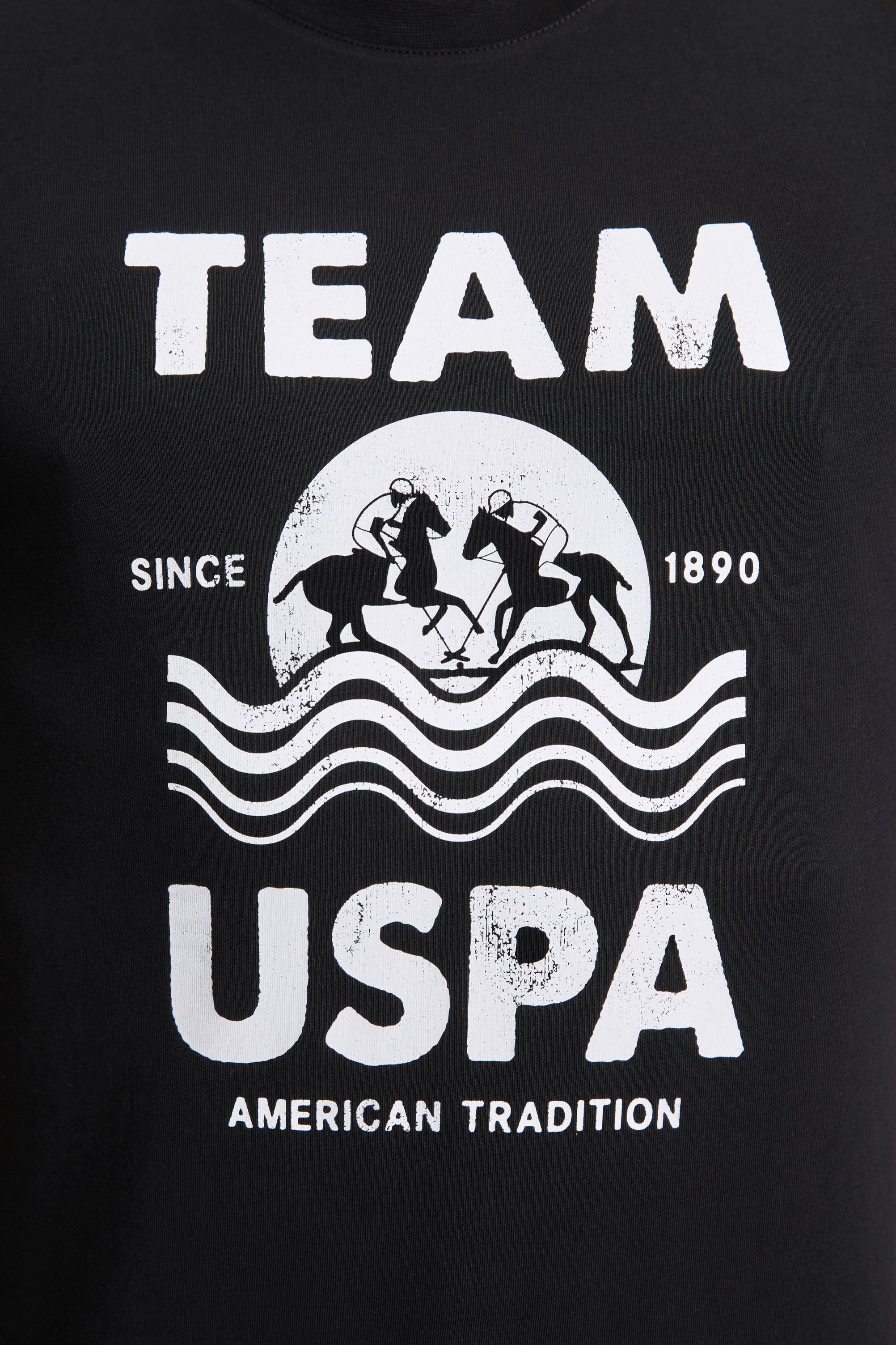 تی شرت یقه گرد رگولار مردانه یو اس پولو | U.S. Polo Assn. - تصویر 6