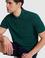 Erkek Koyu Yeşil Regular Fit Polo Yaka Basic Tişört