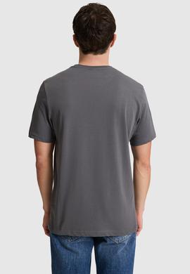 Erkek Antrasit Regular Fit Polo Yaka Basic Tişört - 50327022012